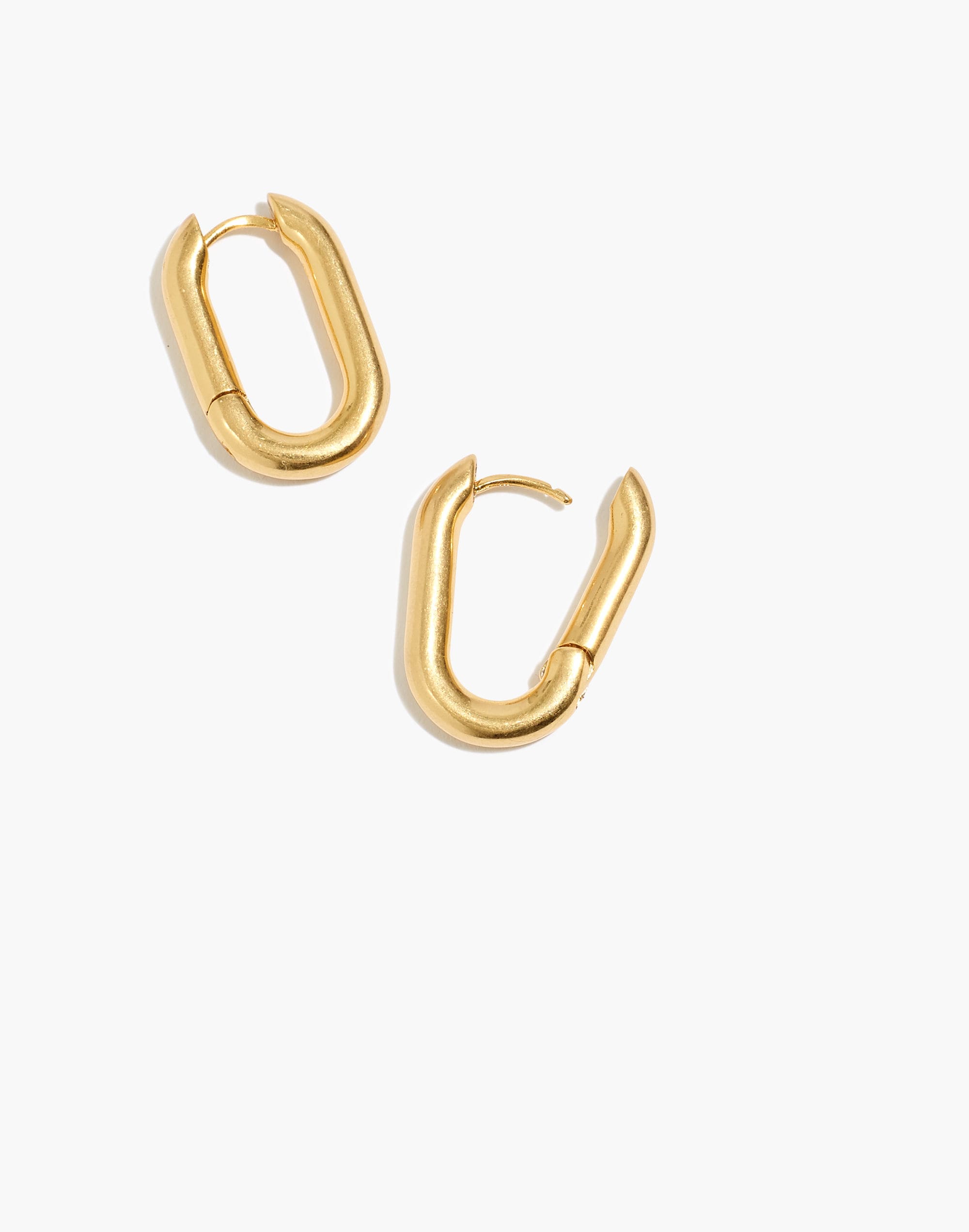 Carabiner Medium Hoop Earrings Gift Box