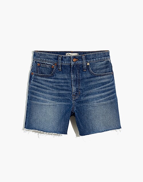 Madewell + Plus Relaxed Denim Shorts in Homecrest Wash: Ripped Edition