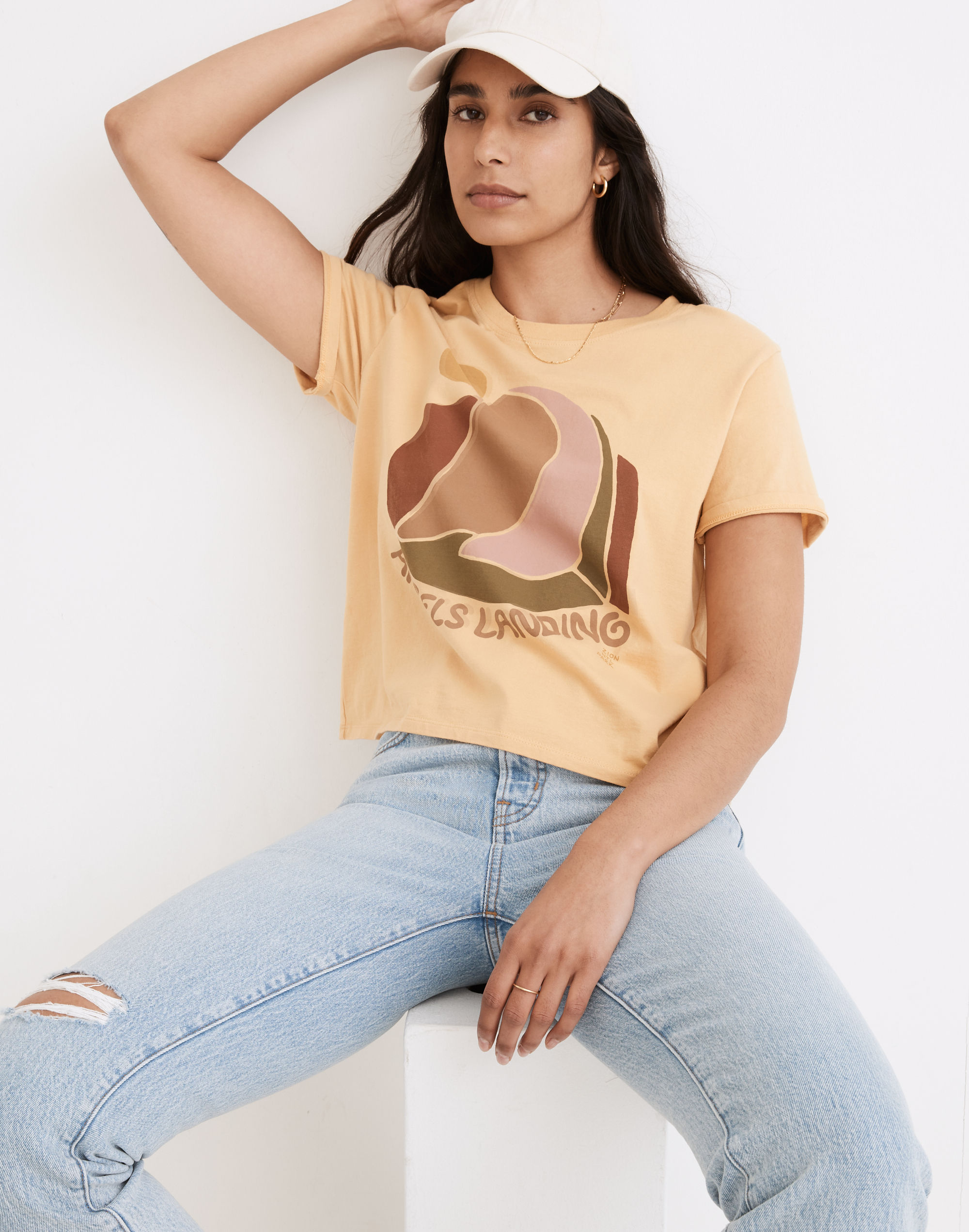 Madewell x Parks Project Angel's Landing Organic Cotton Boxy Tee