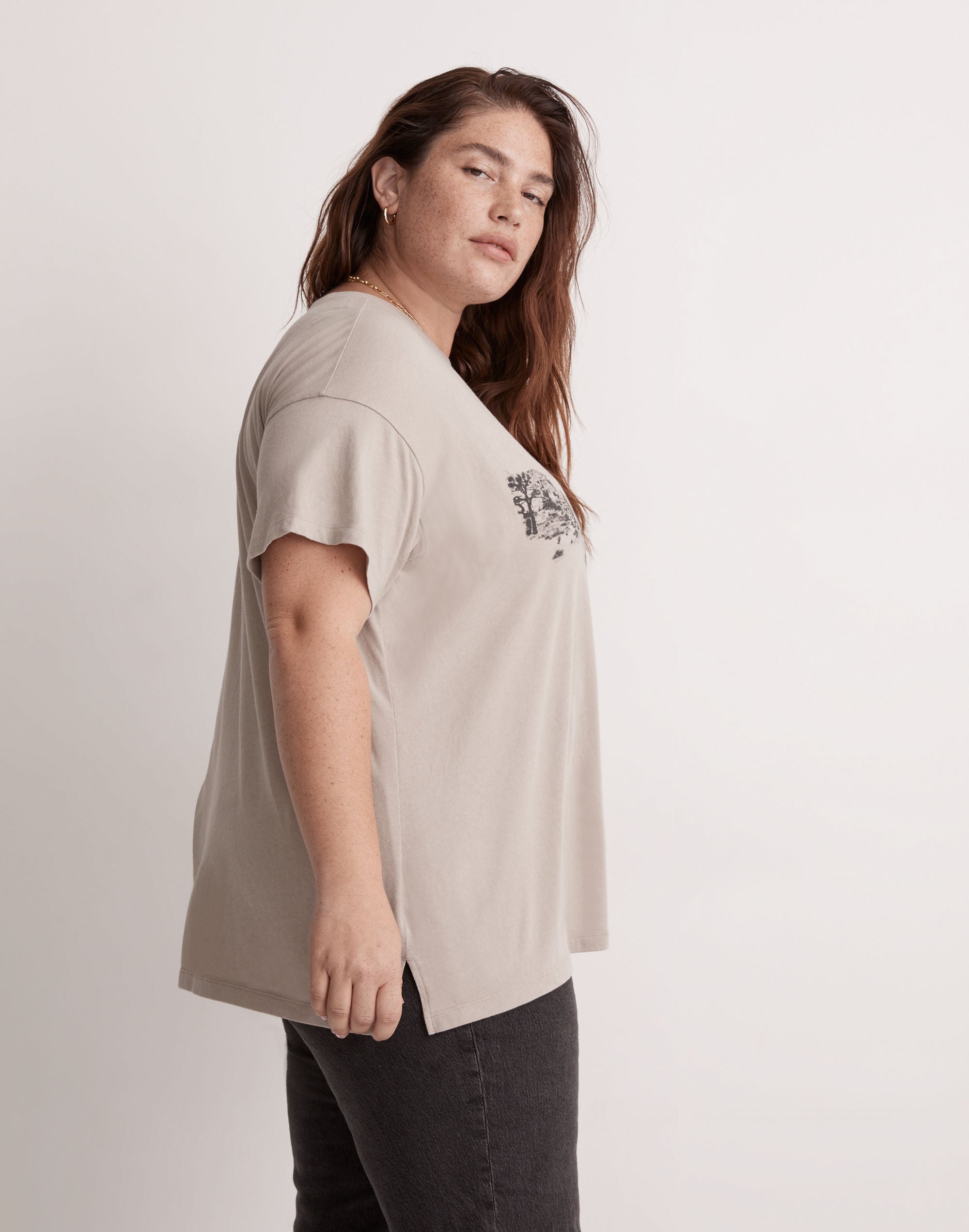 めい　TEA61ADS Plus Joshua Tree Softfade Cotton Oversized Tee | Madewell