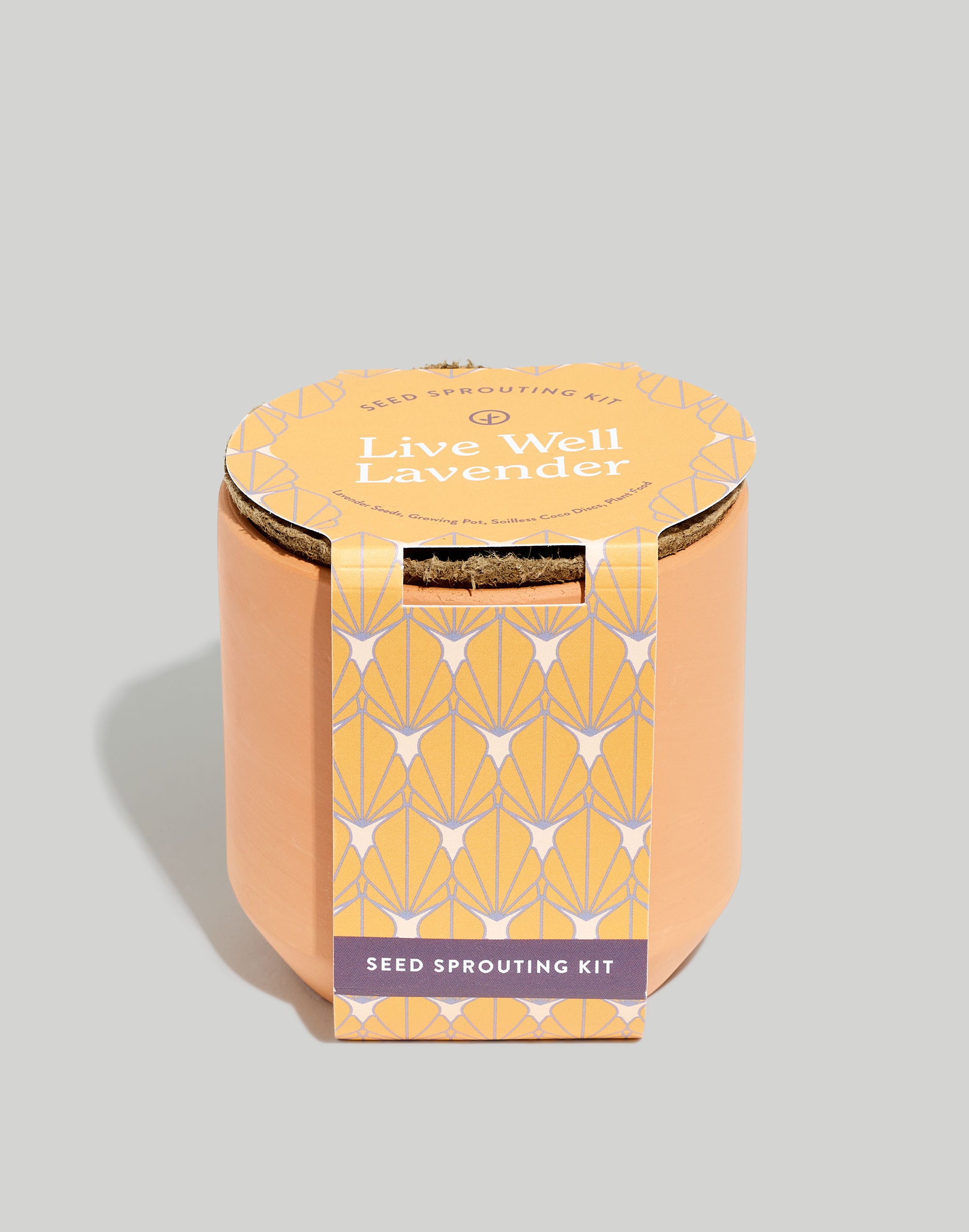 Modern Sprout&reg; Live Well Lavender Tiny Terracotta Grow Kit