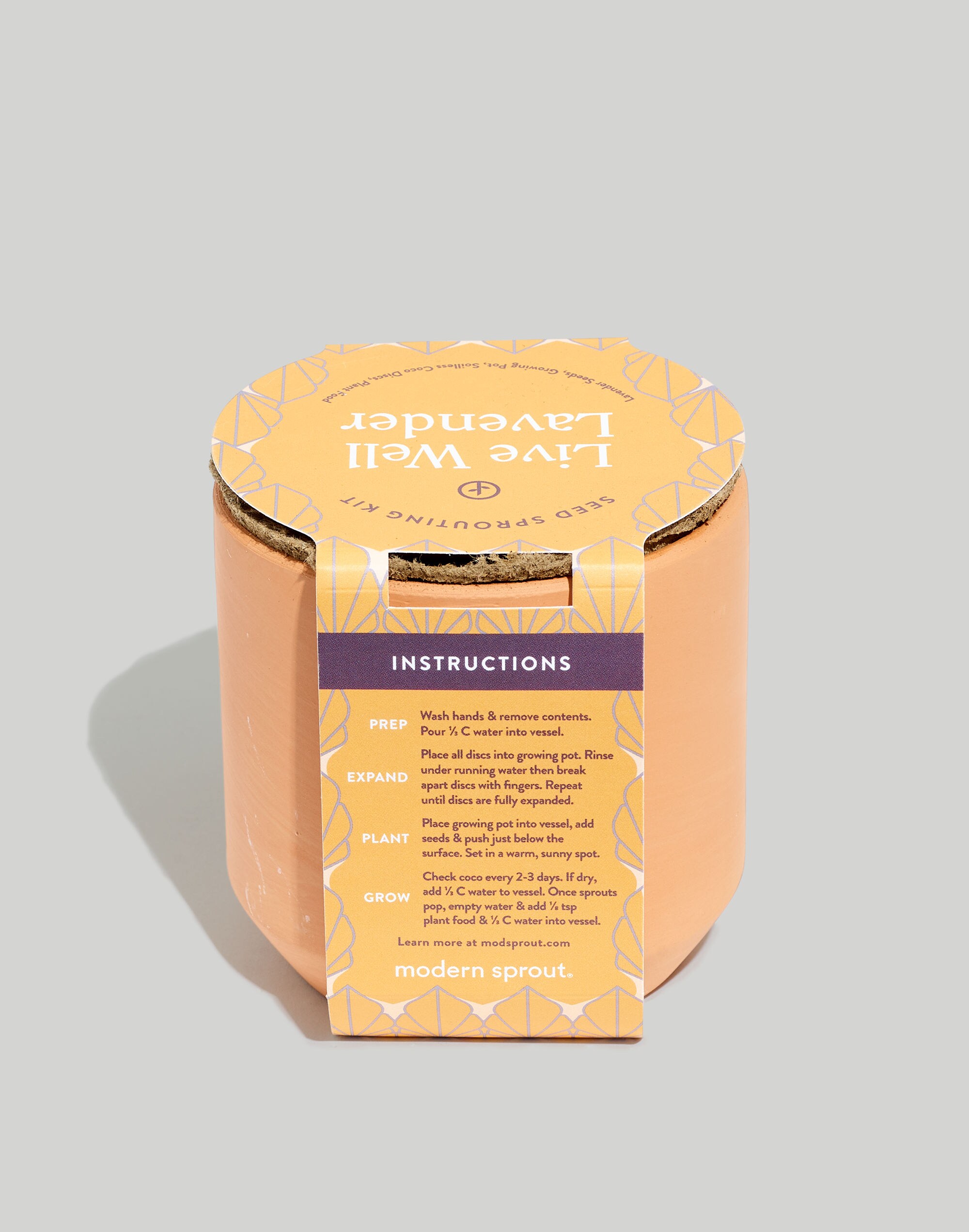 Modern Sprout&reg; Live Well Lavender Tiny Terracotta Grow Kit