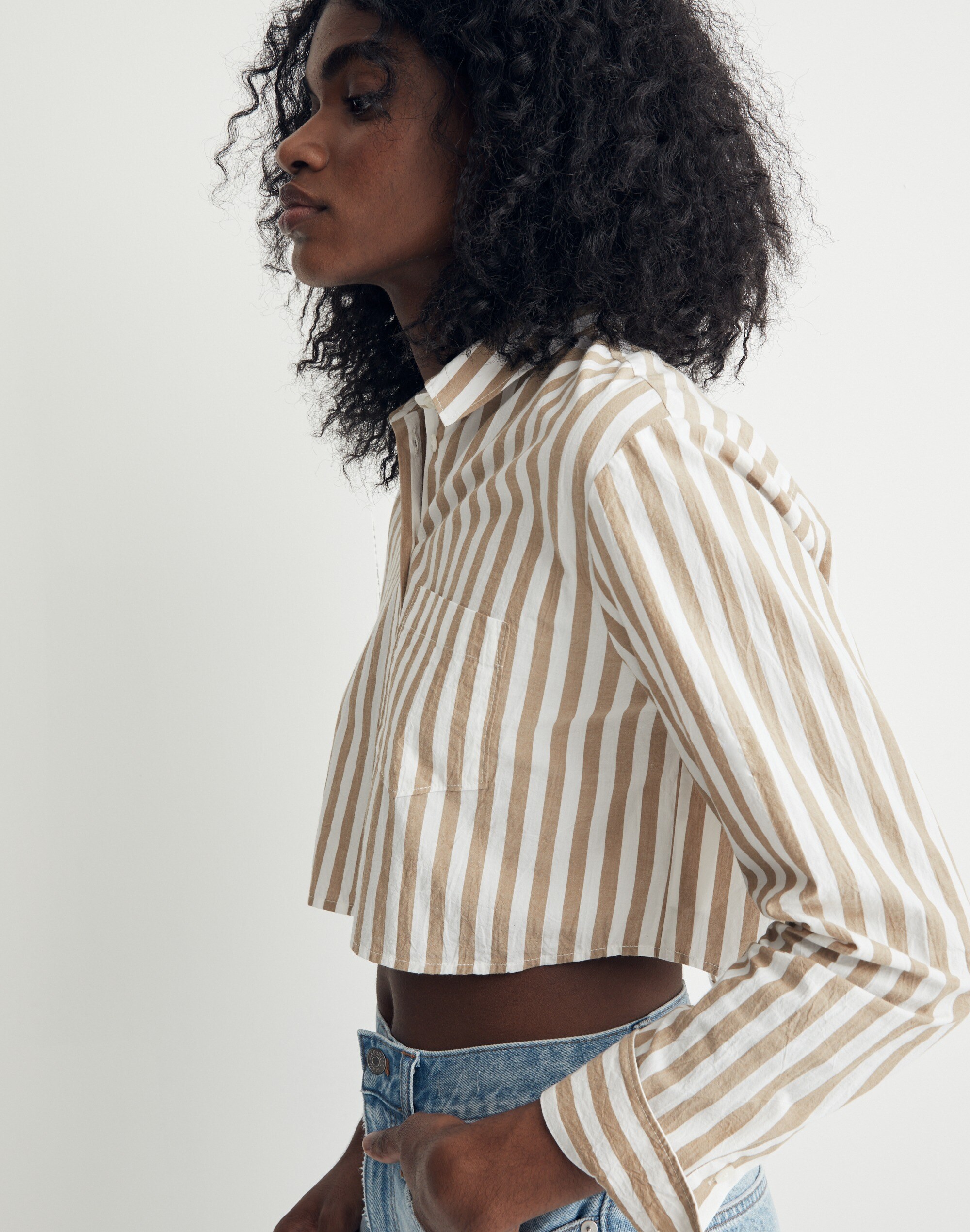 Signature Poplin Oversized Supercrop Ex-Boyfriend Shirt in Springy Stripe Alternate Image 1