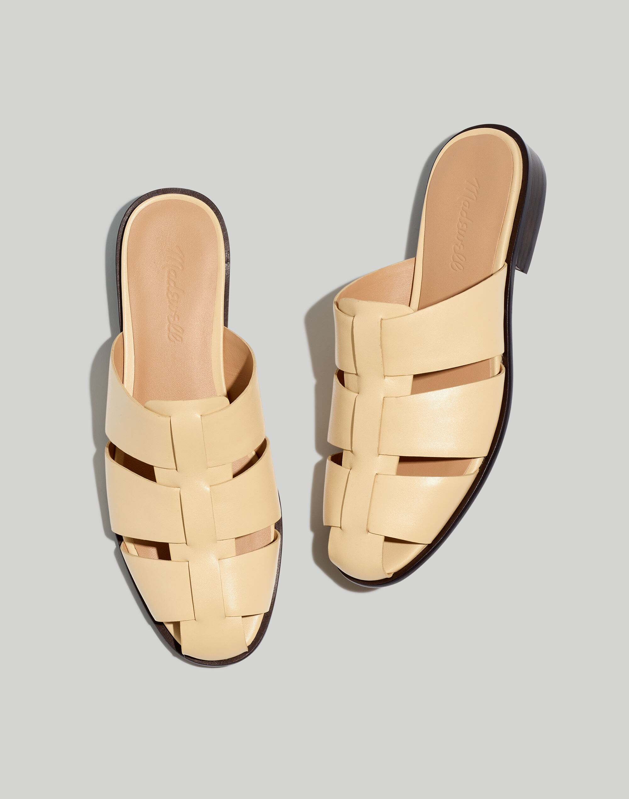 The Dixson Fisherman Mule