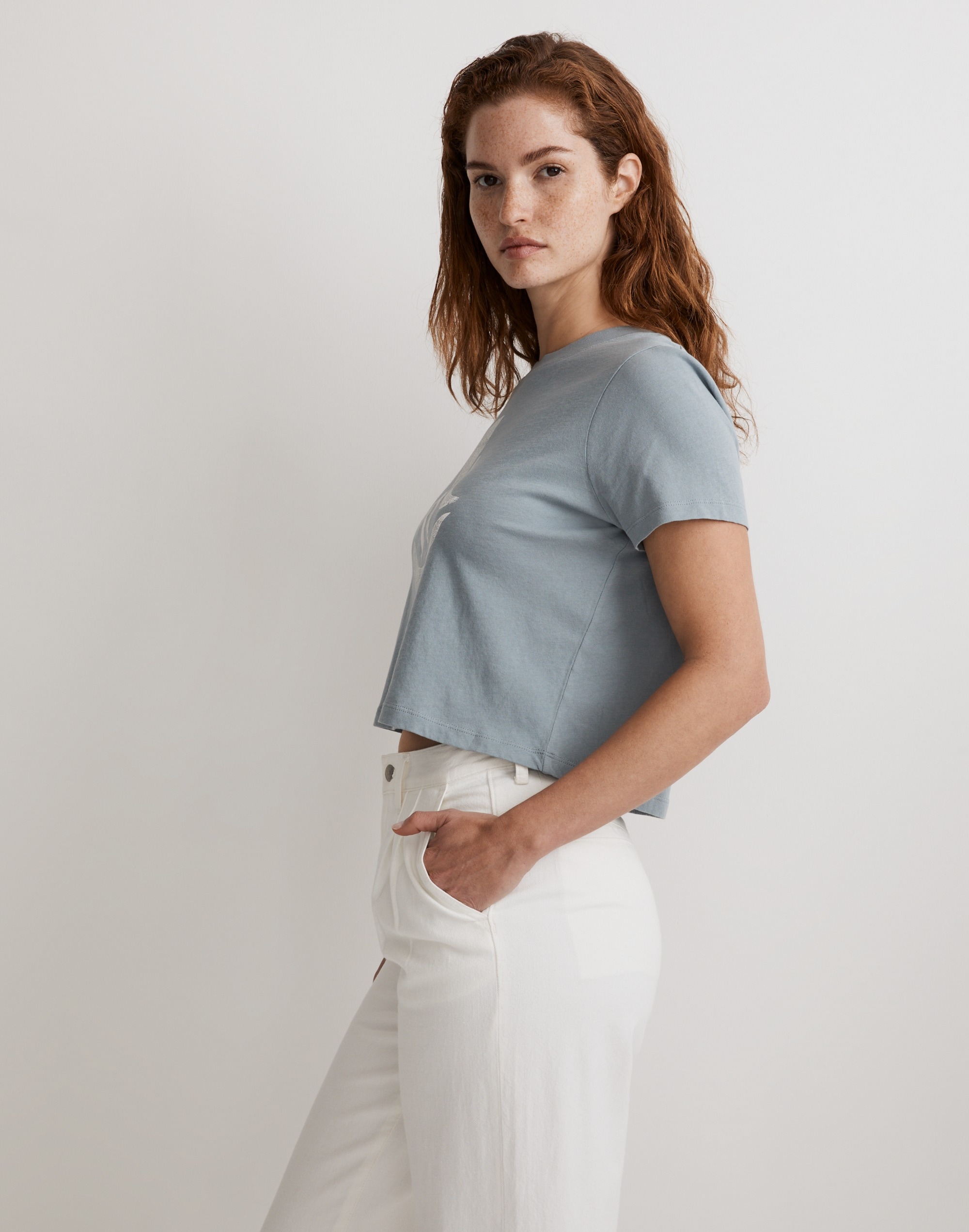 Fruit Bowl Graphic Softfade Cotton Boxy-Crop Tee