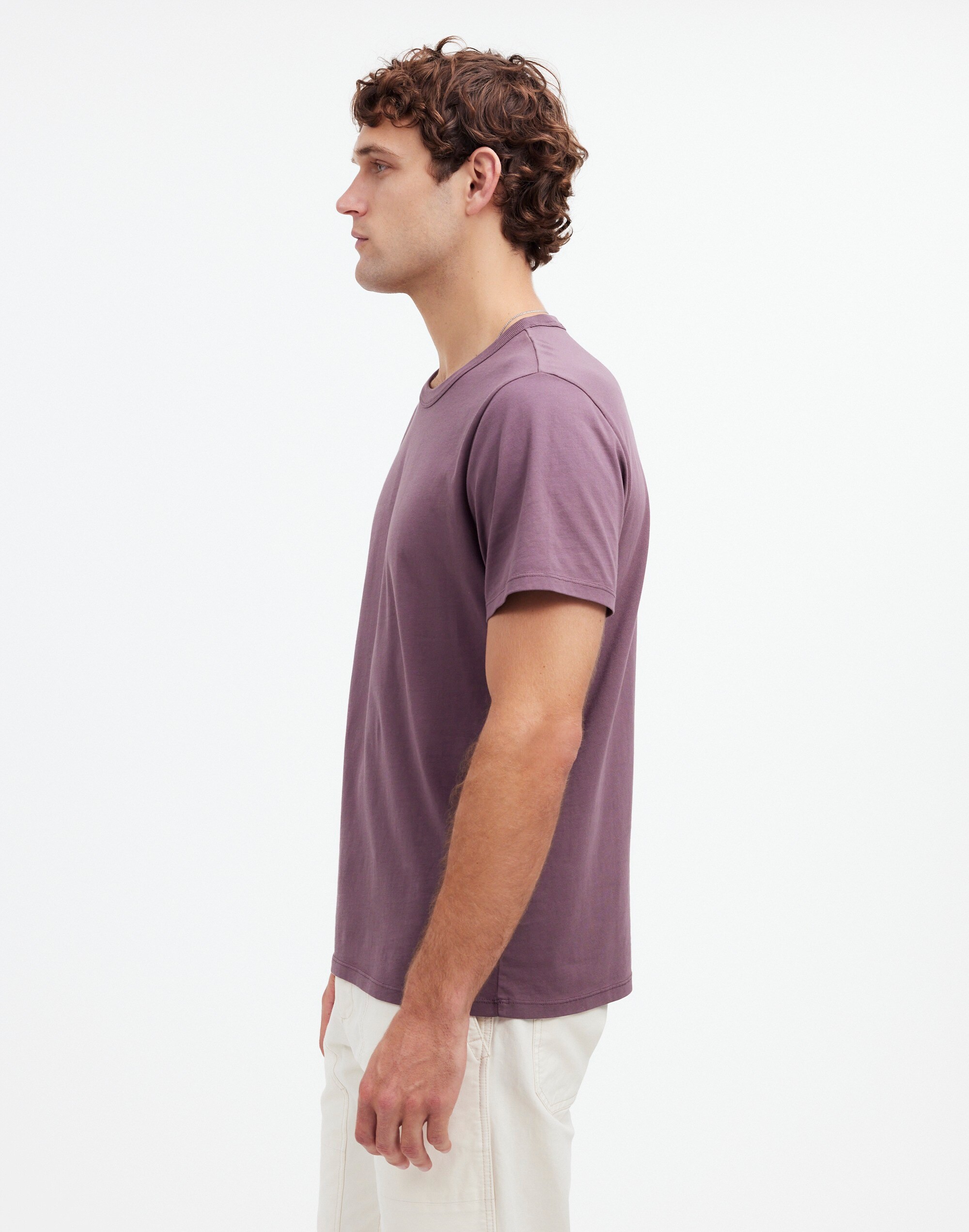 Garment-Dyed Allday Crewneck Tee in chalked fig image 3