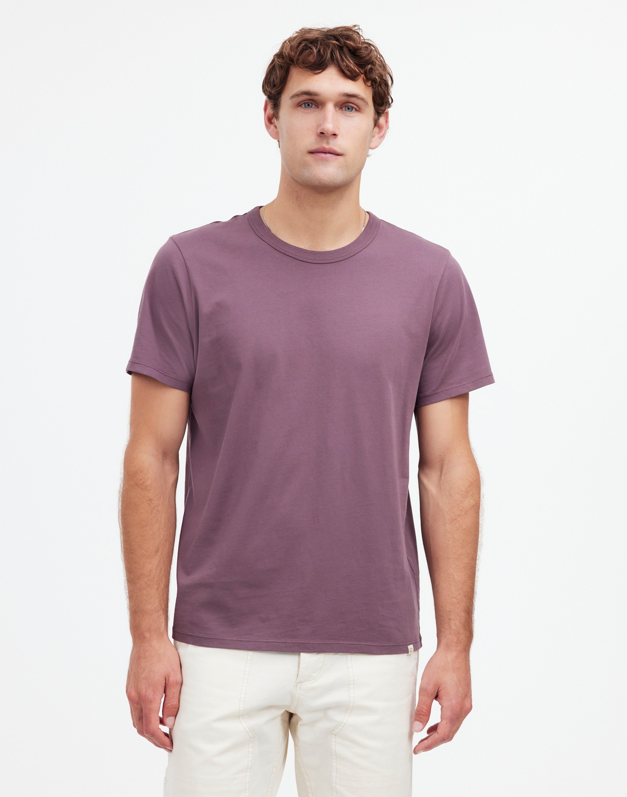 Garment-Dyed Allday Crewneck Tee in chalked fig image 1