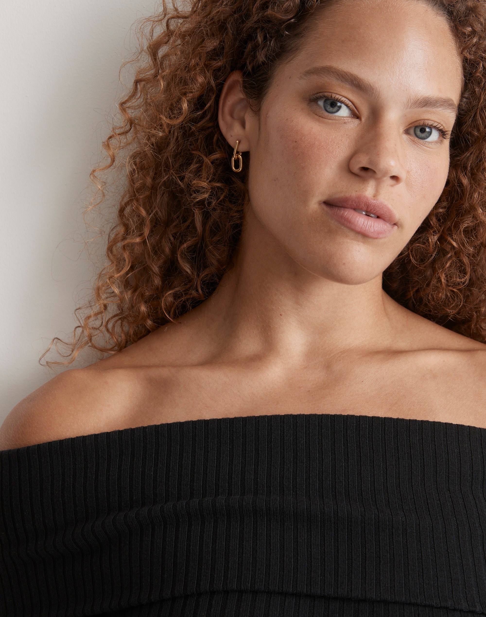 Modular Carabiner Hoop Earrings