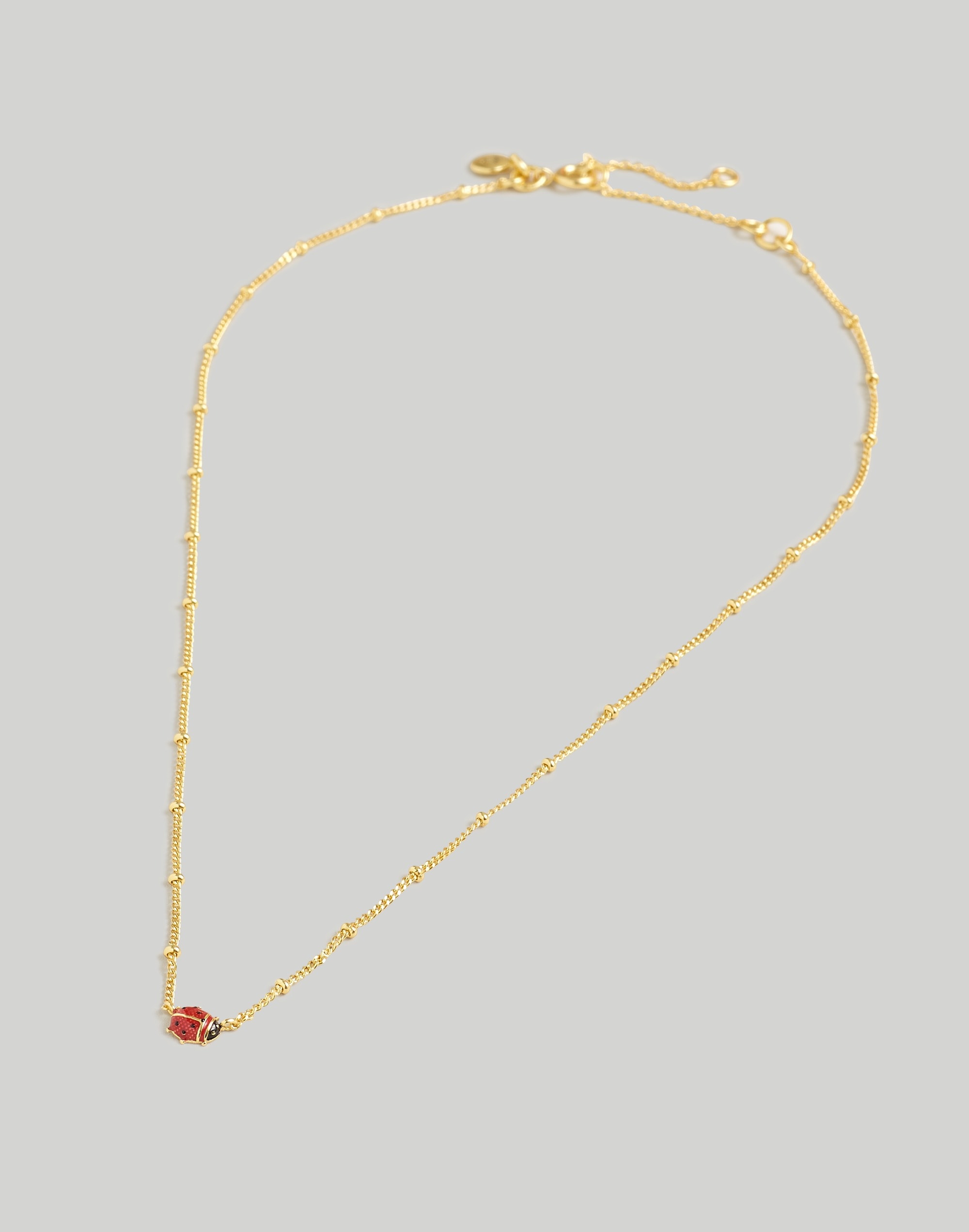 Enamel Ladybug Chain Necklace