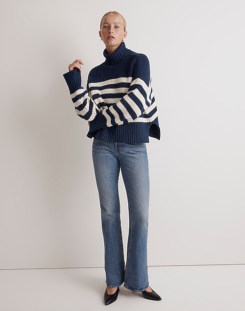 Wide Rib Sweater Turtleneck in Stripe
