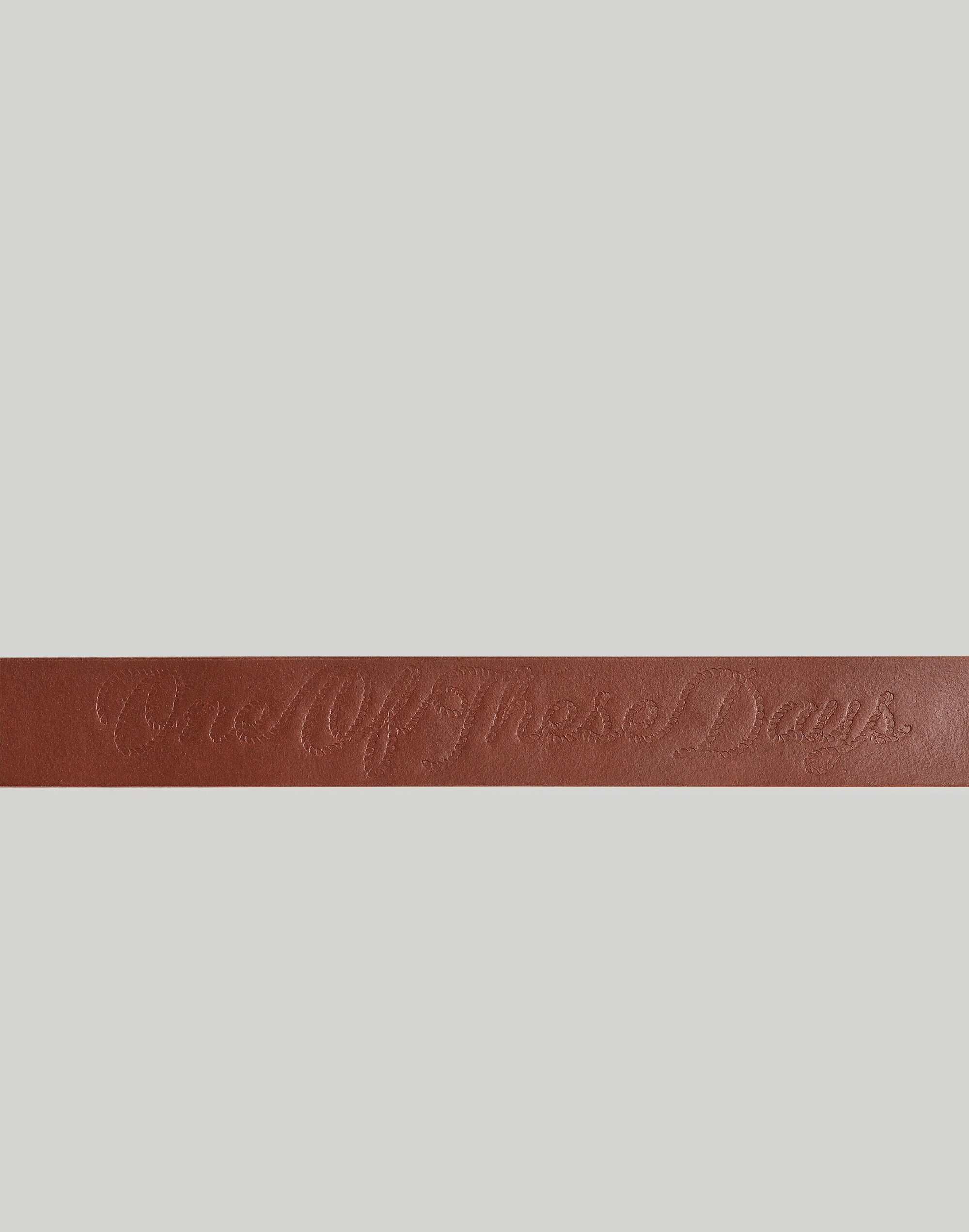 Madewell by One of These Days Leather Belt