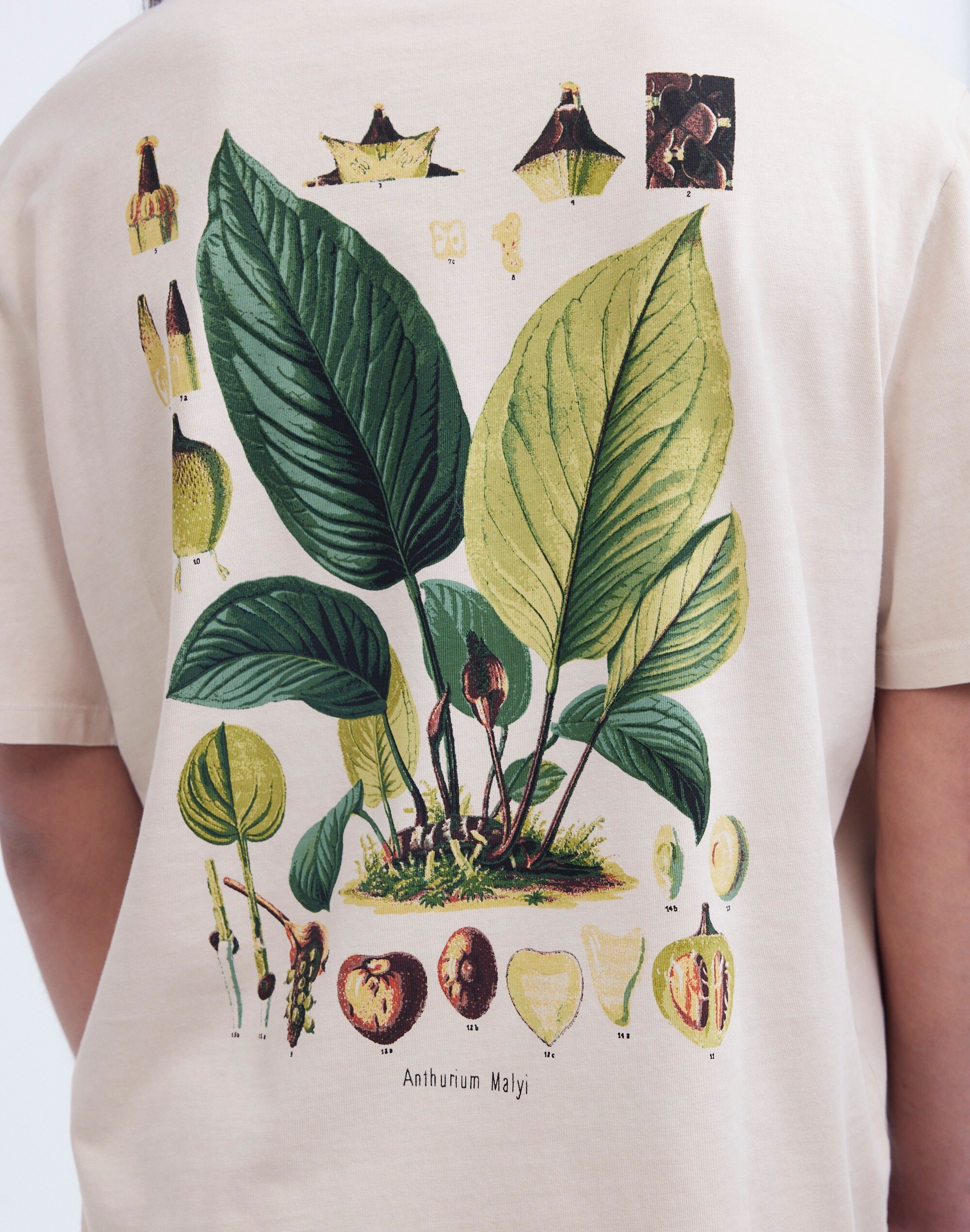 Madewell x NYBG Graphic Tee