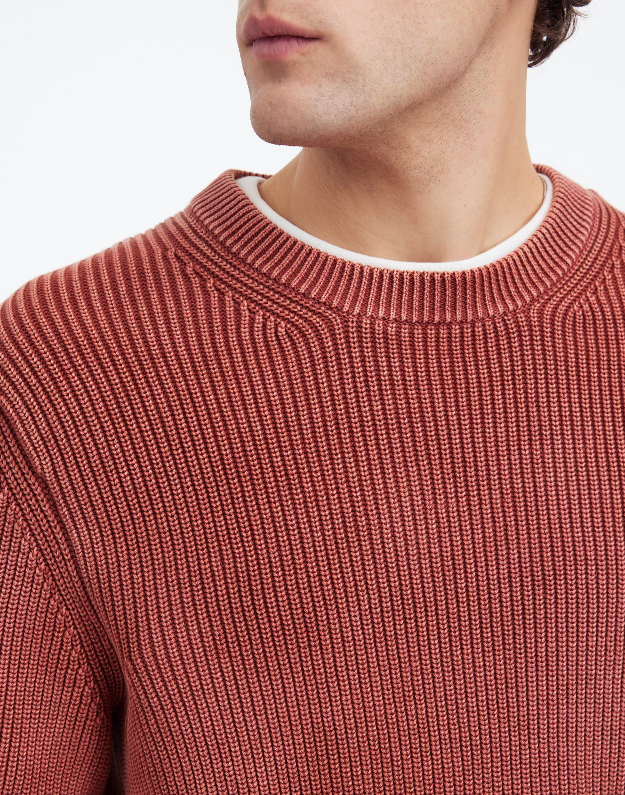 Cotton Shaker Stitch Crewneck Sweater
