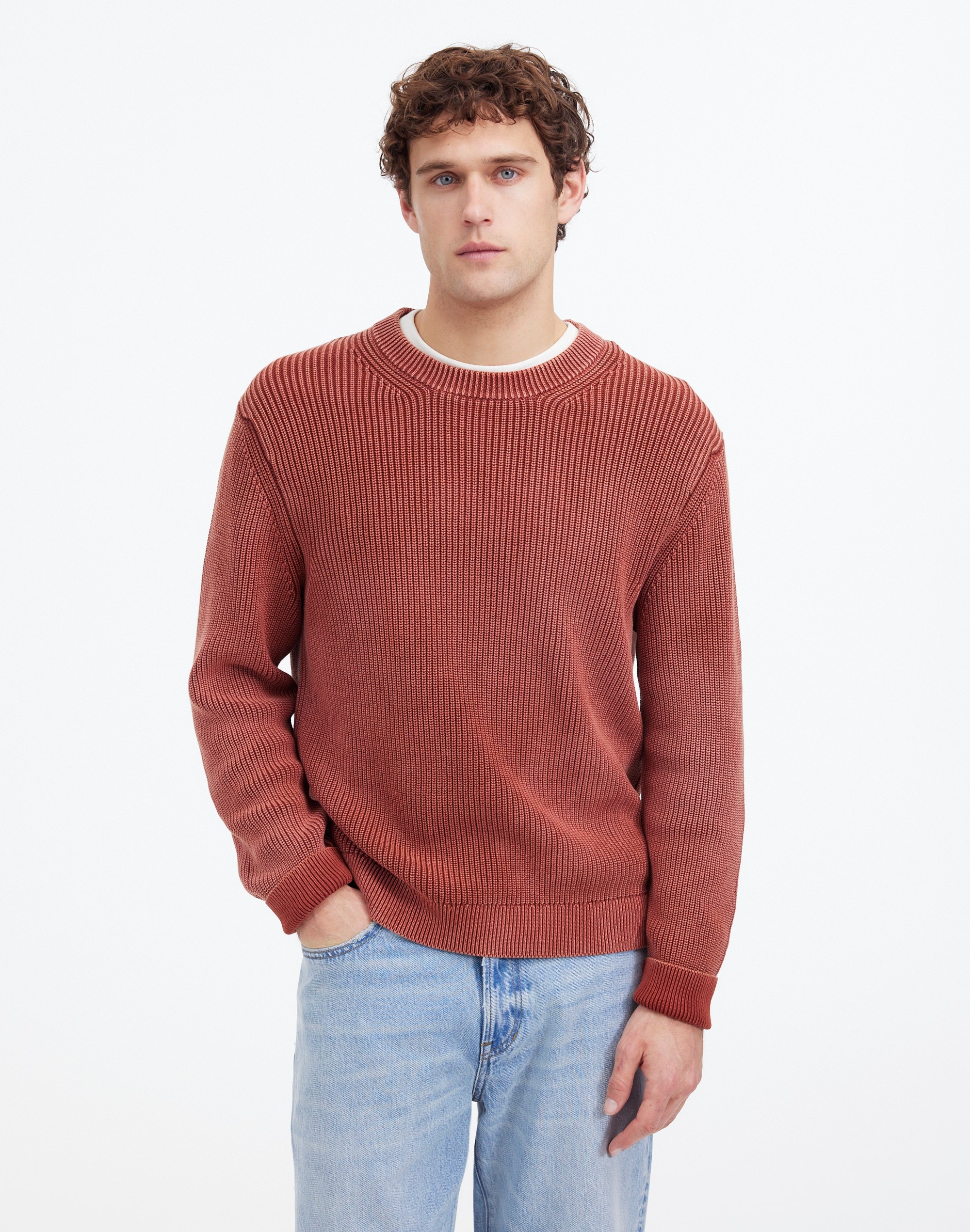 Cotton Shaker Stitch Crewneck Sweater