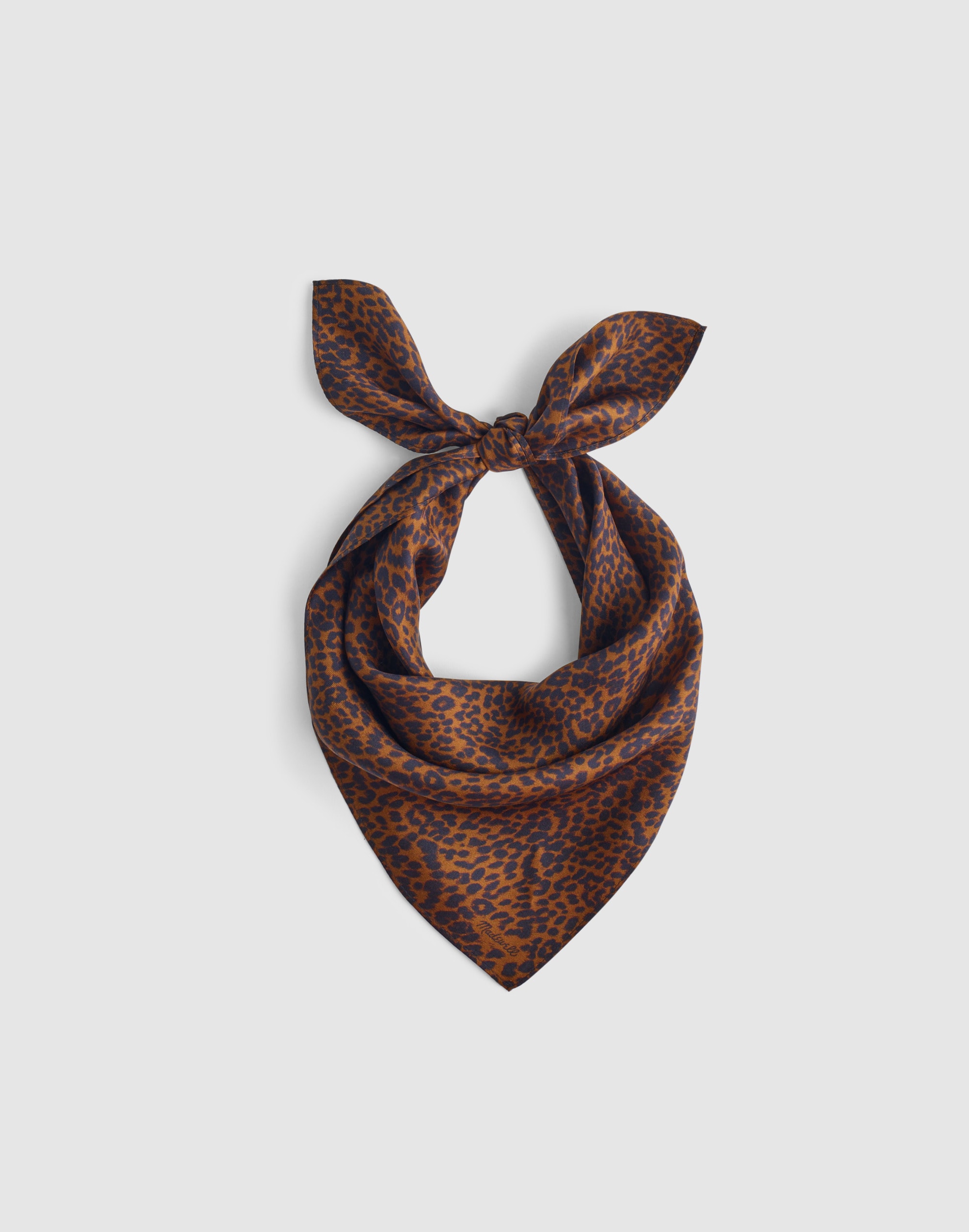 Small Silk Bandana