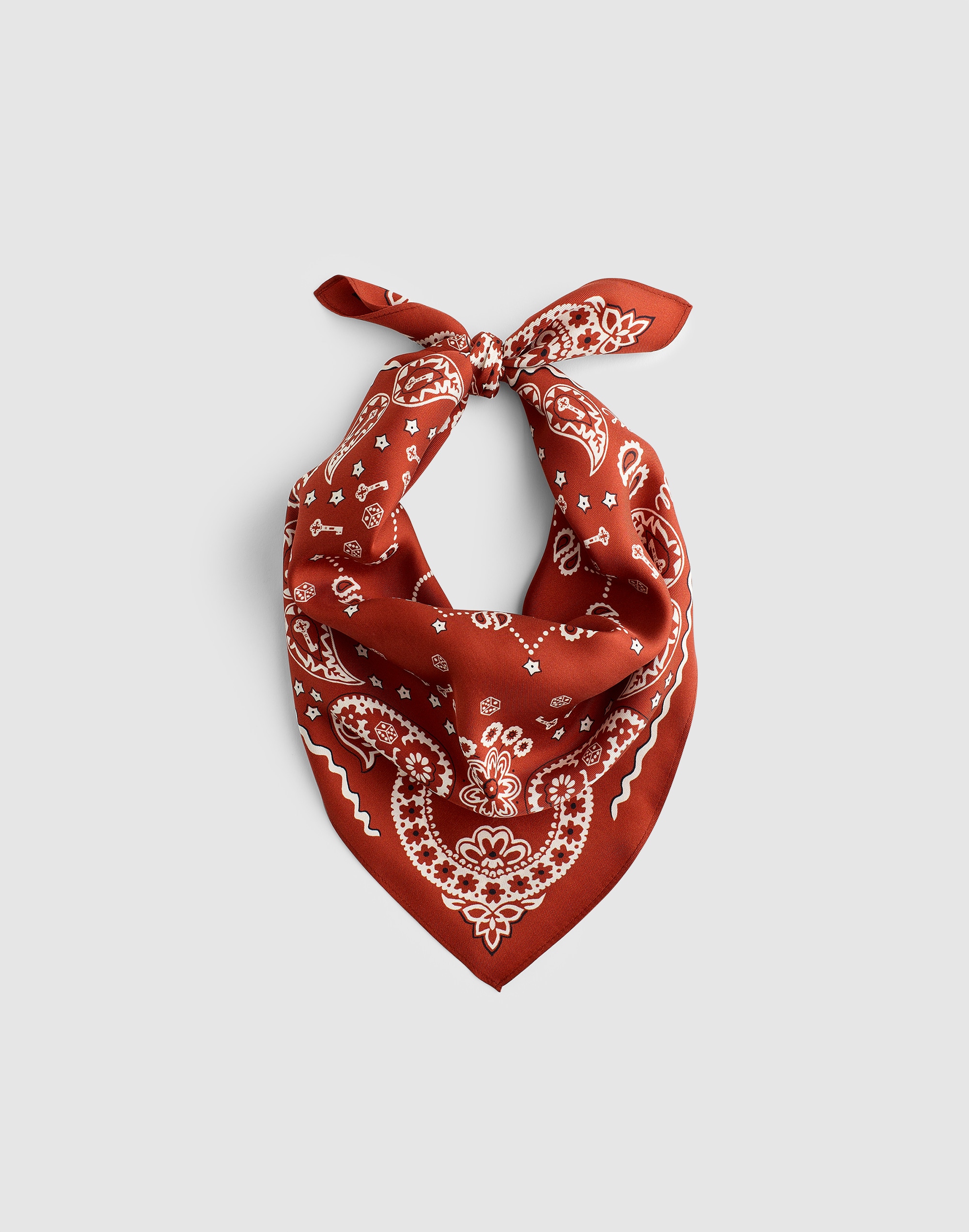 Small Silk Bandana