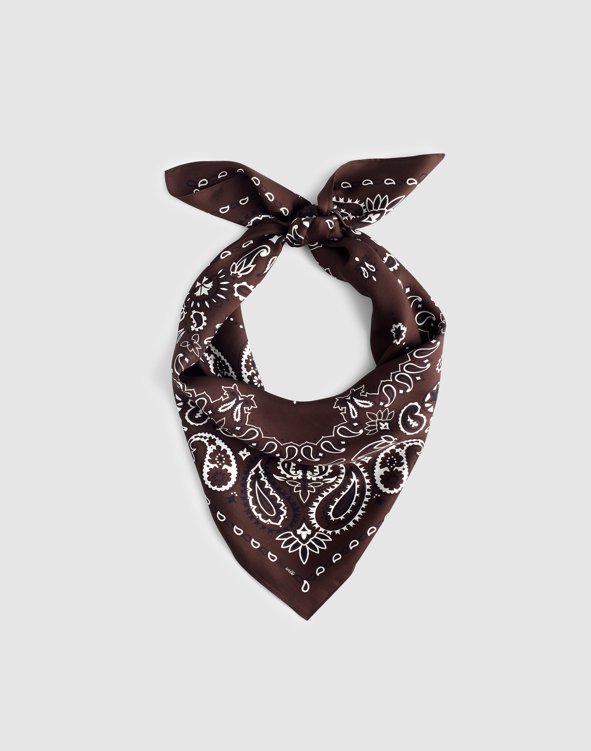 Medium Silk Bandana