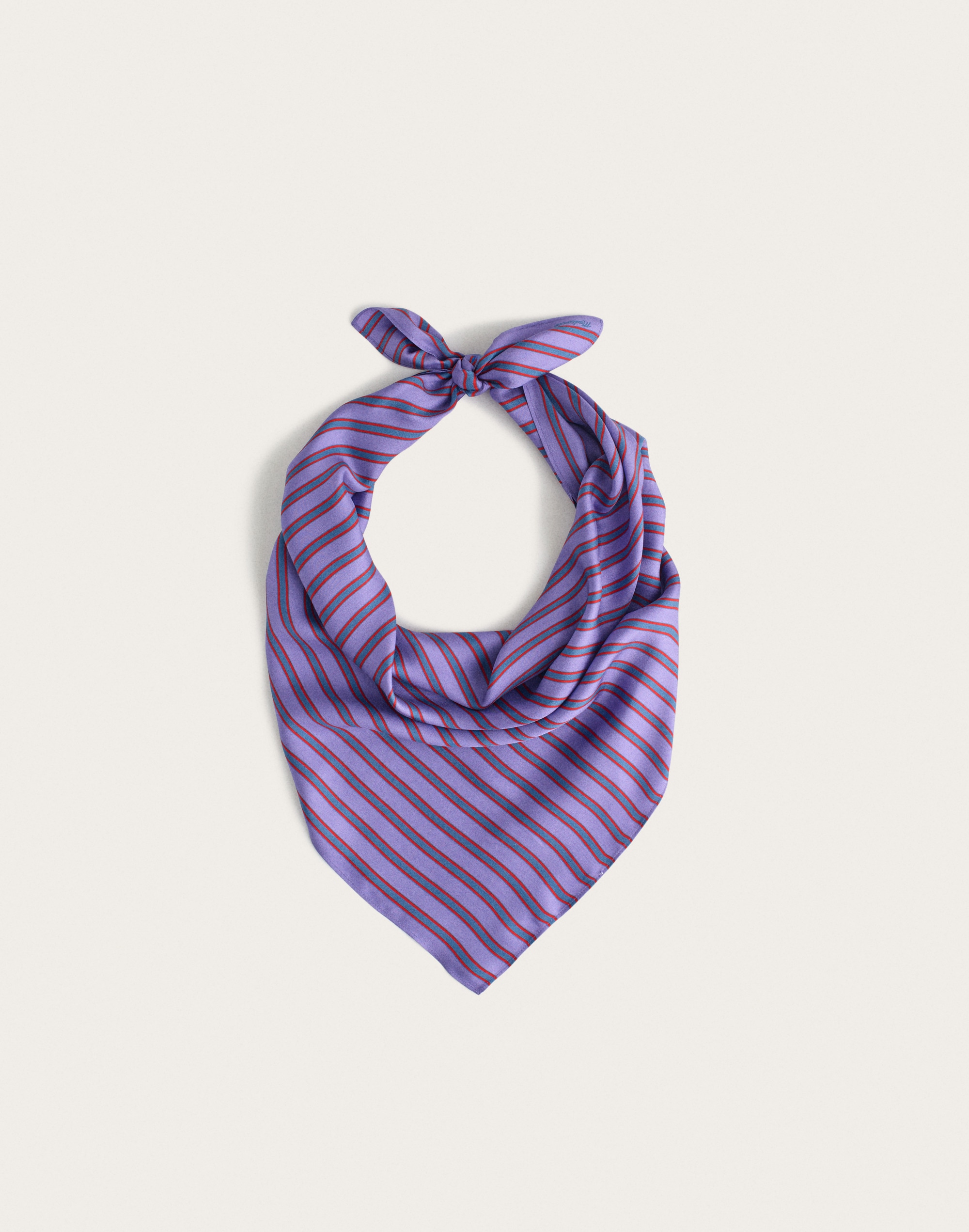 Medium Silk Bandana Alternate Image 2
