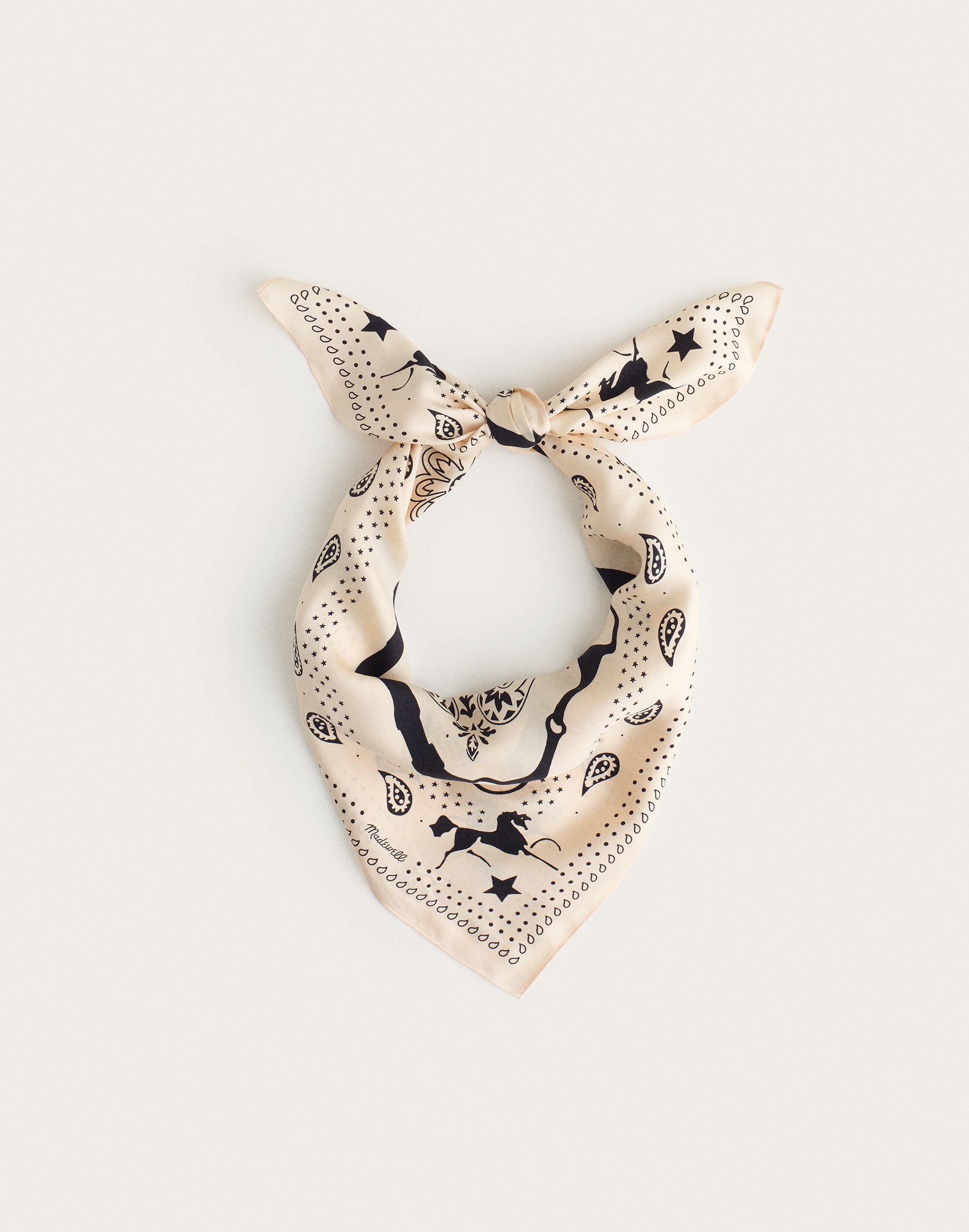Medium Silk Bandana