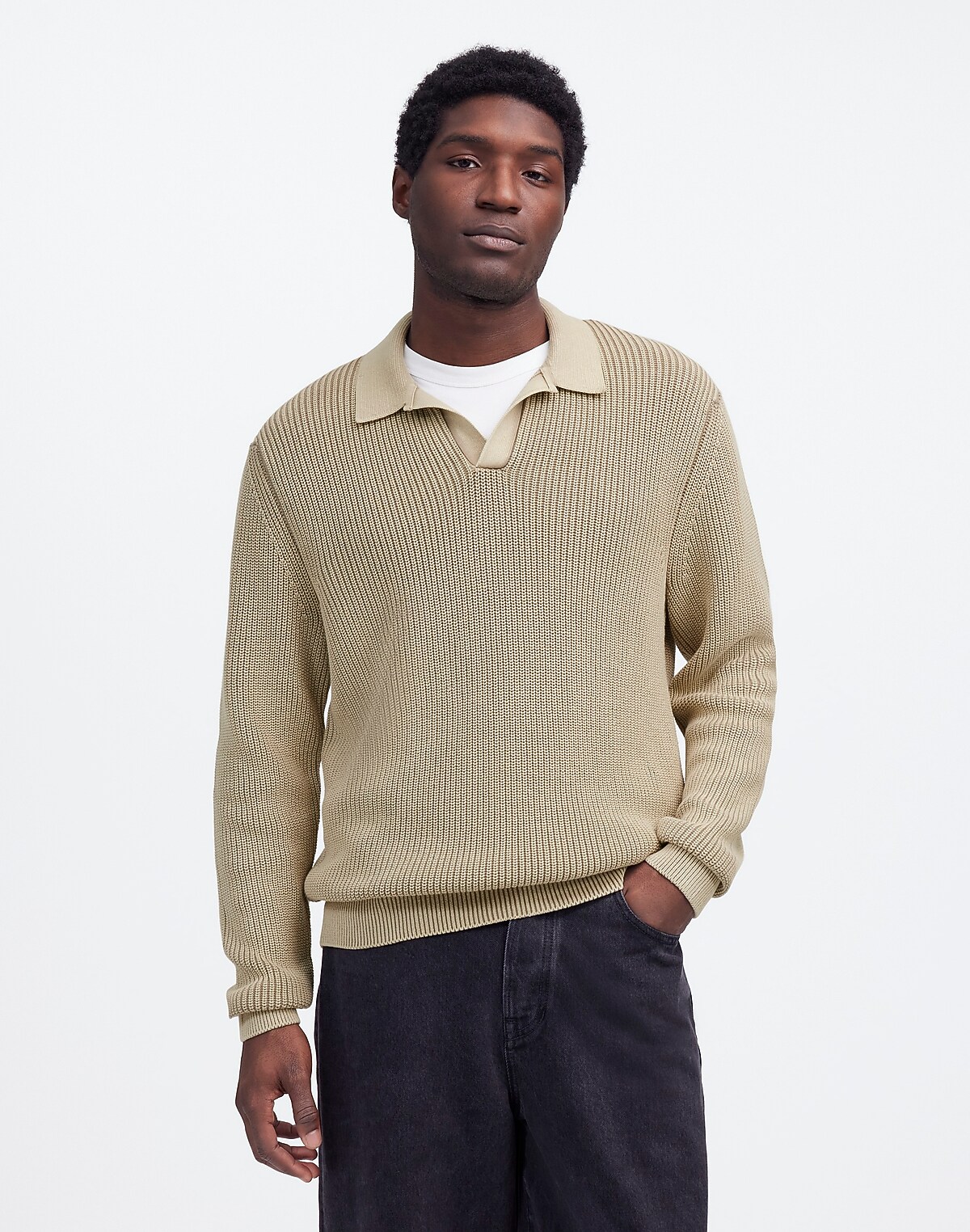Cotton Shaker Stitch Johnny-Collar Sweater Polo