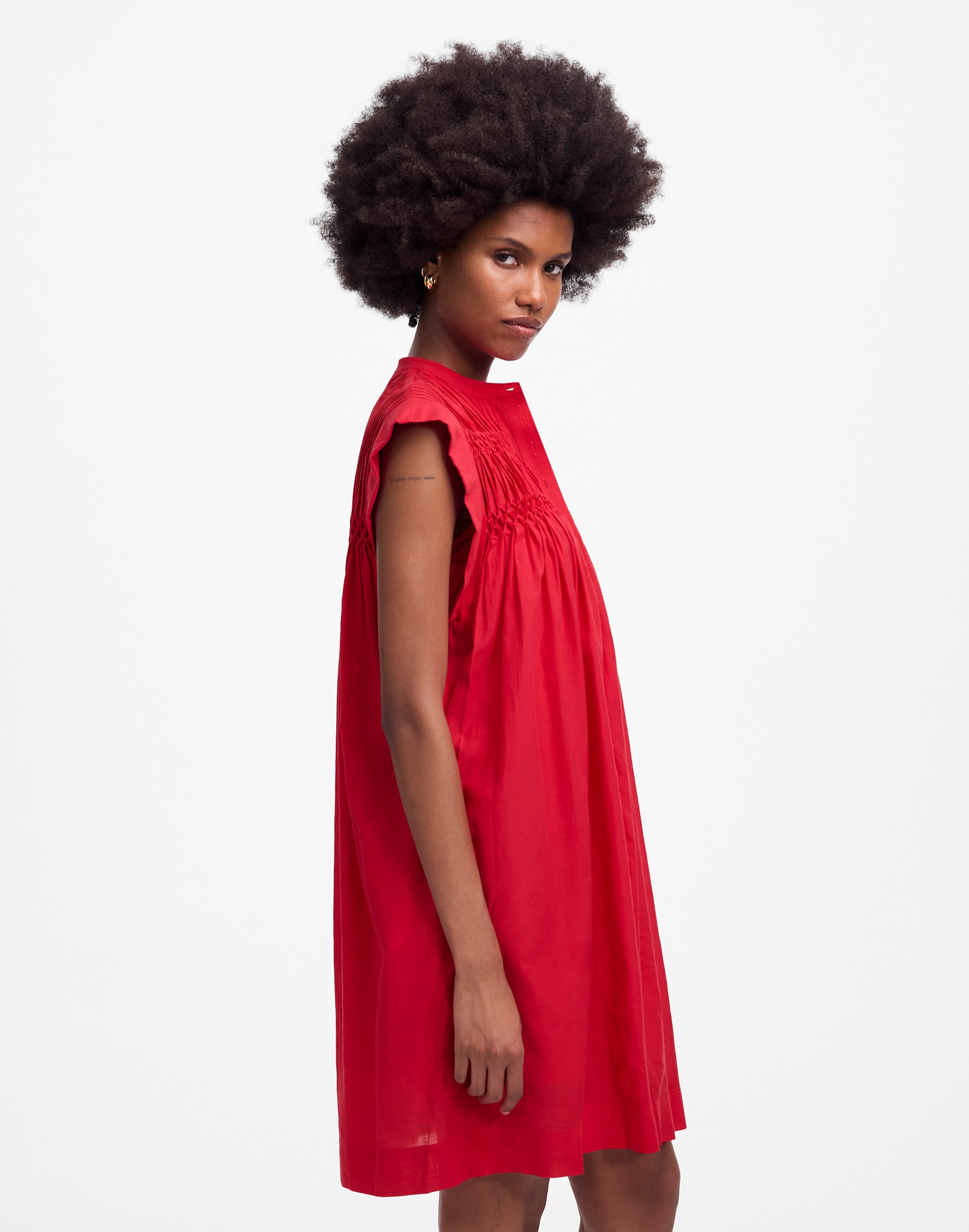 Embroidered Pleated Mini Dress