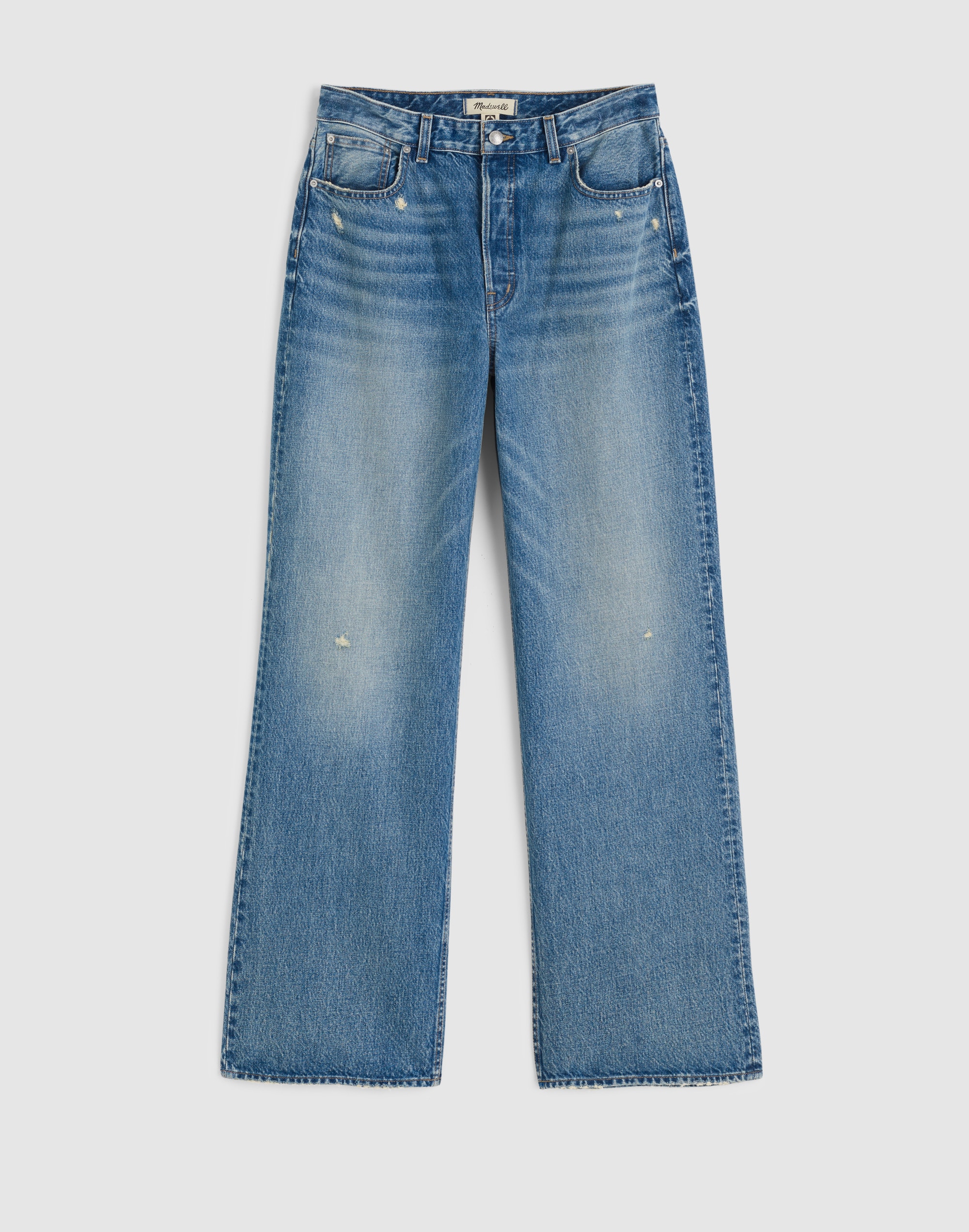 Plus Curvy Low-Slung Baggy Jeans in Robertson Wash