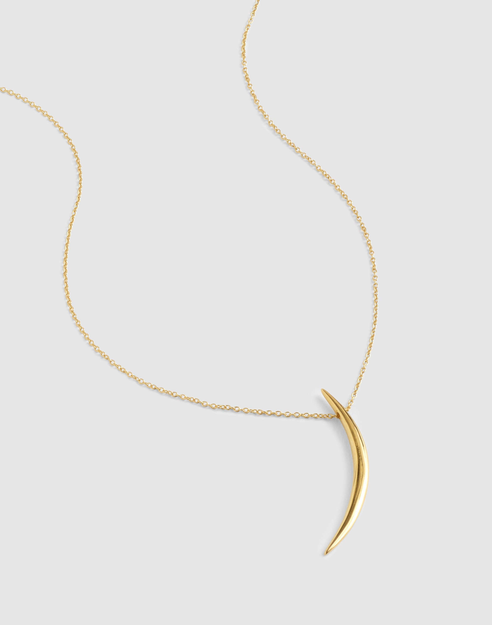 Demi-Fine Horn Pendant Necklace
