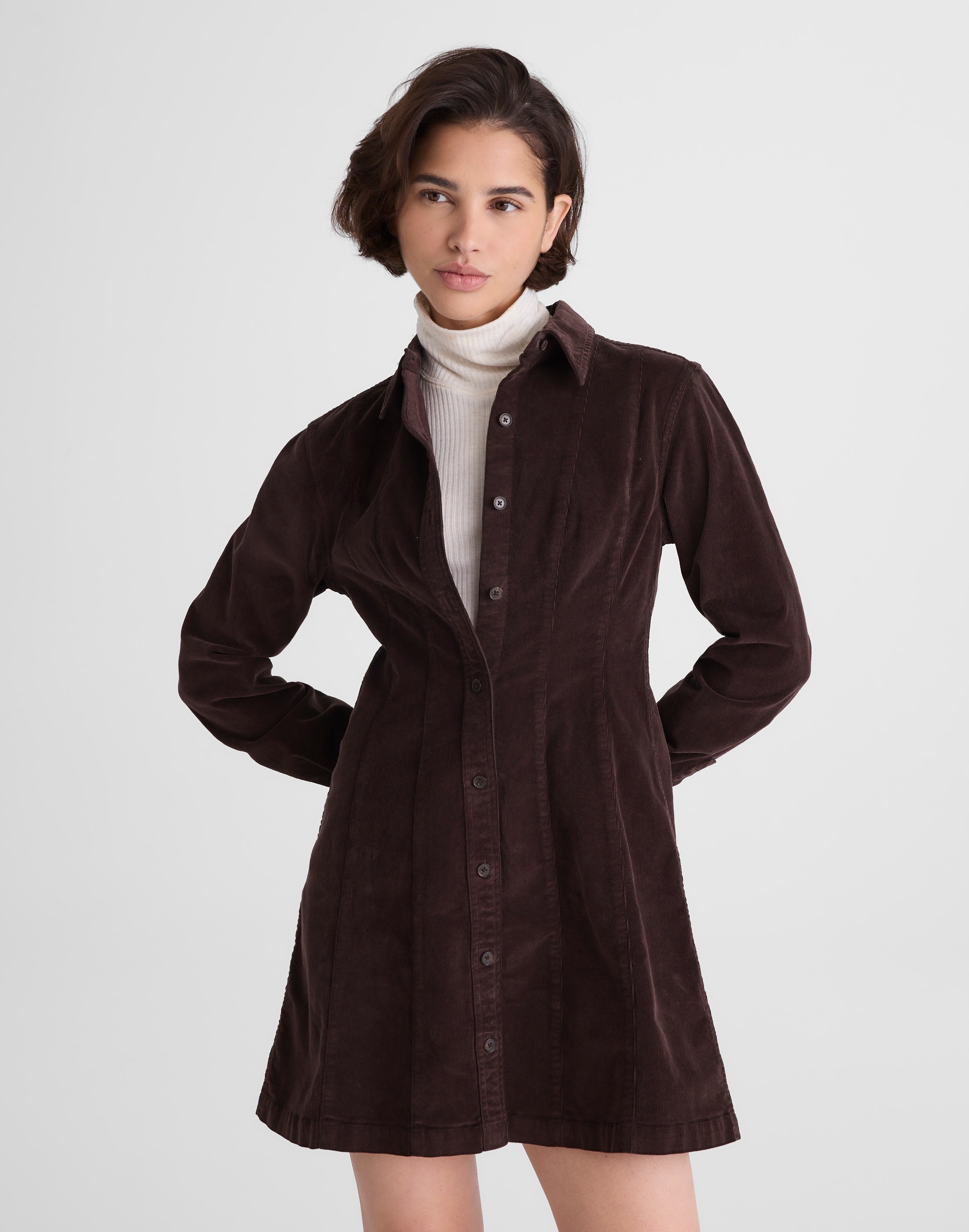 Madewell Seamed Button-up Mini Dress In Brown