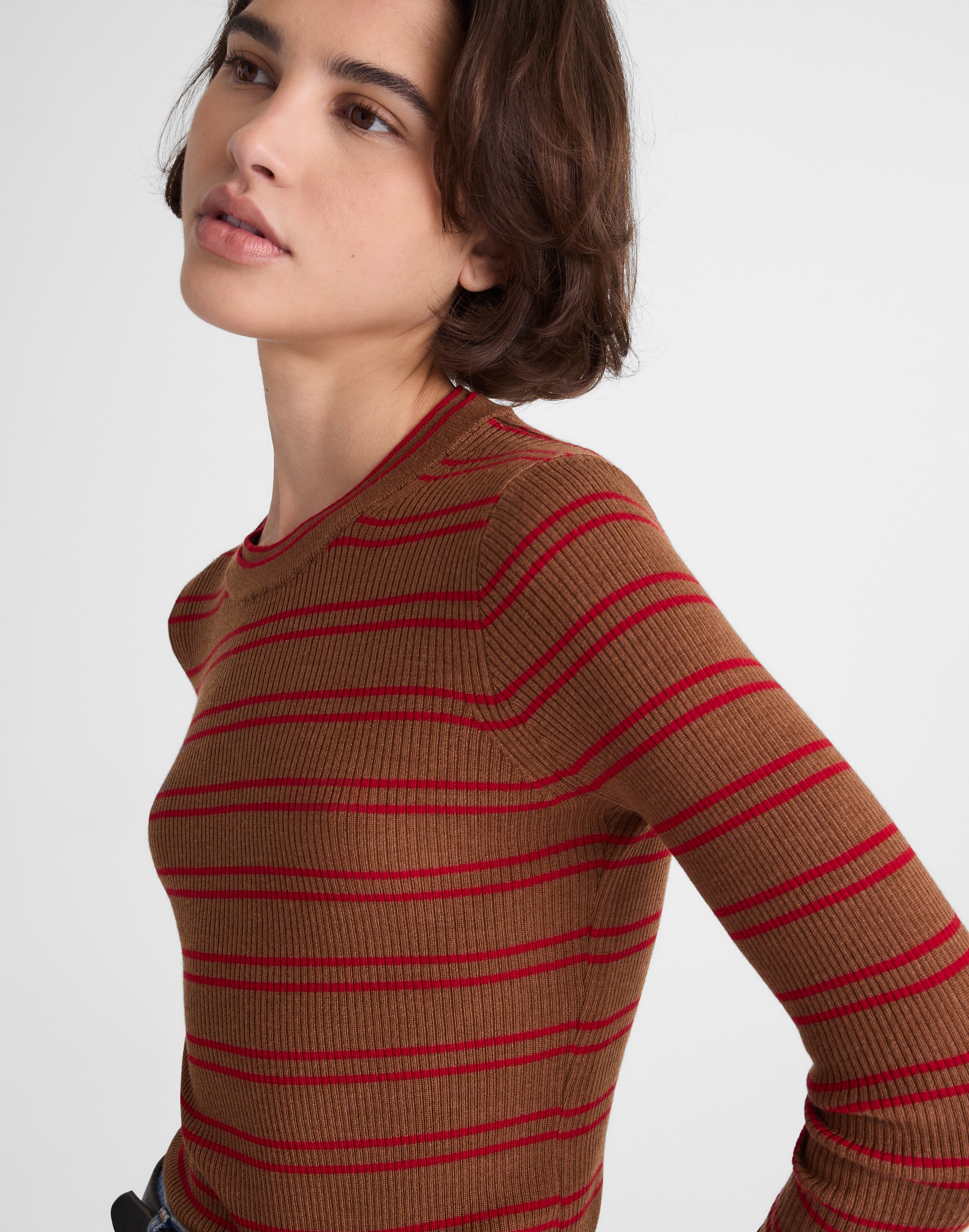 Madewell Slit-sleeve Crewneck Sweater In Brown