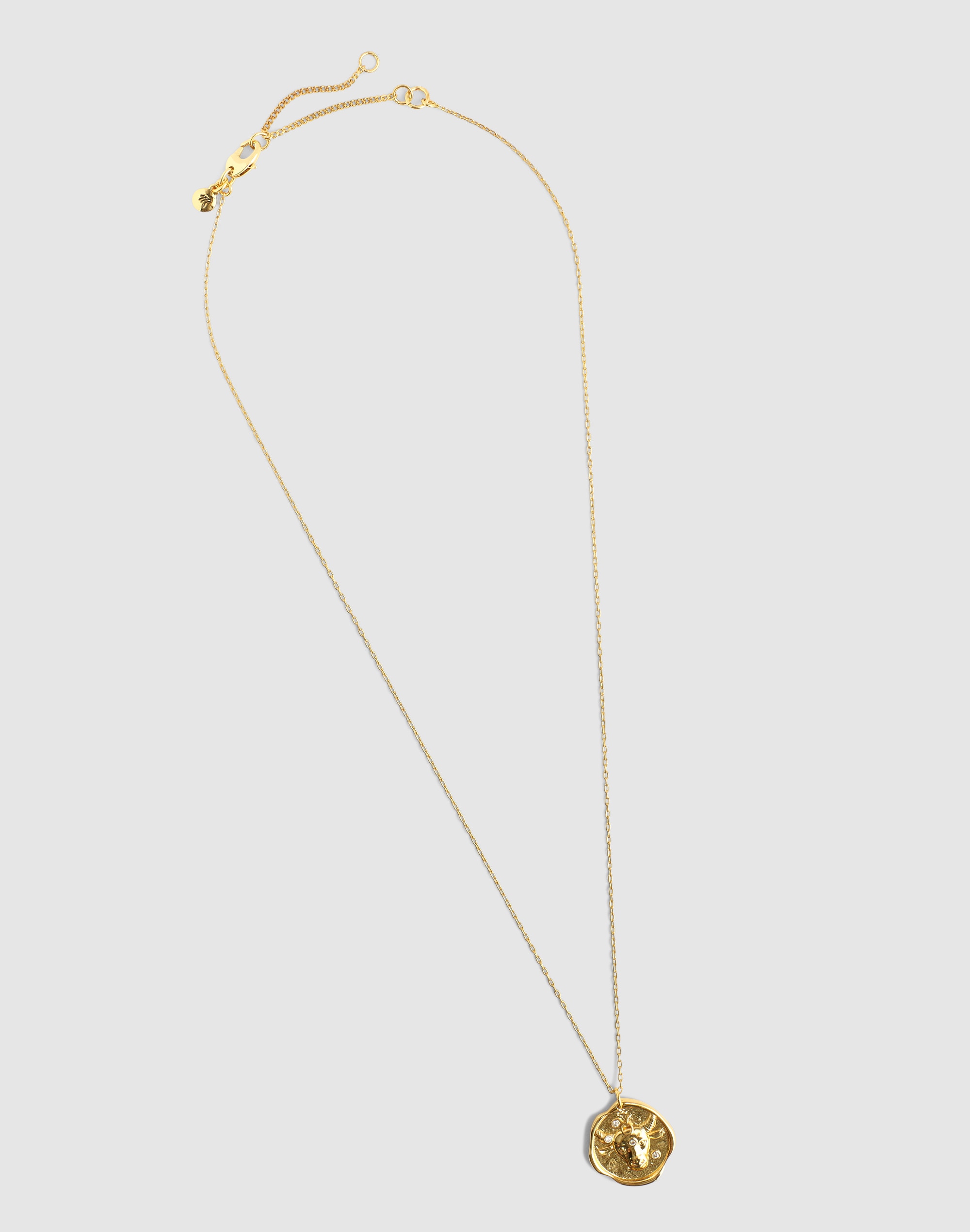 Zodiac Pendant Necklace