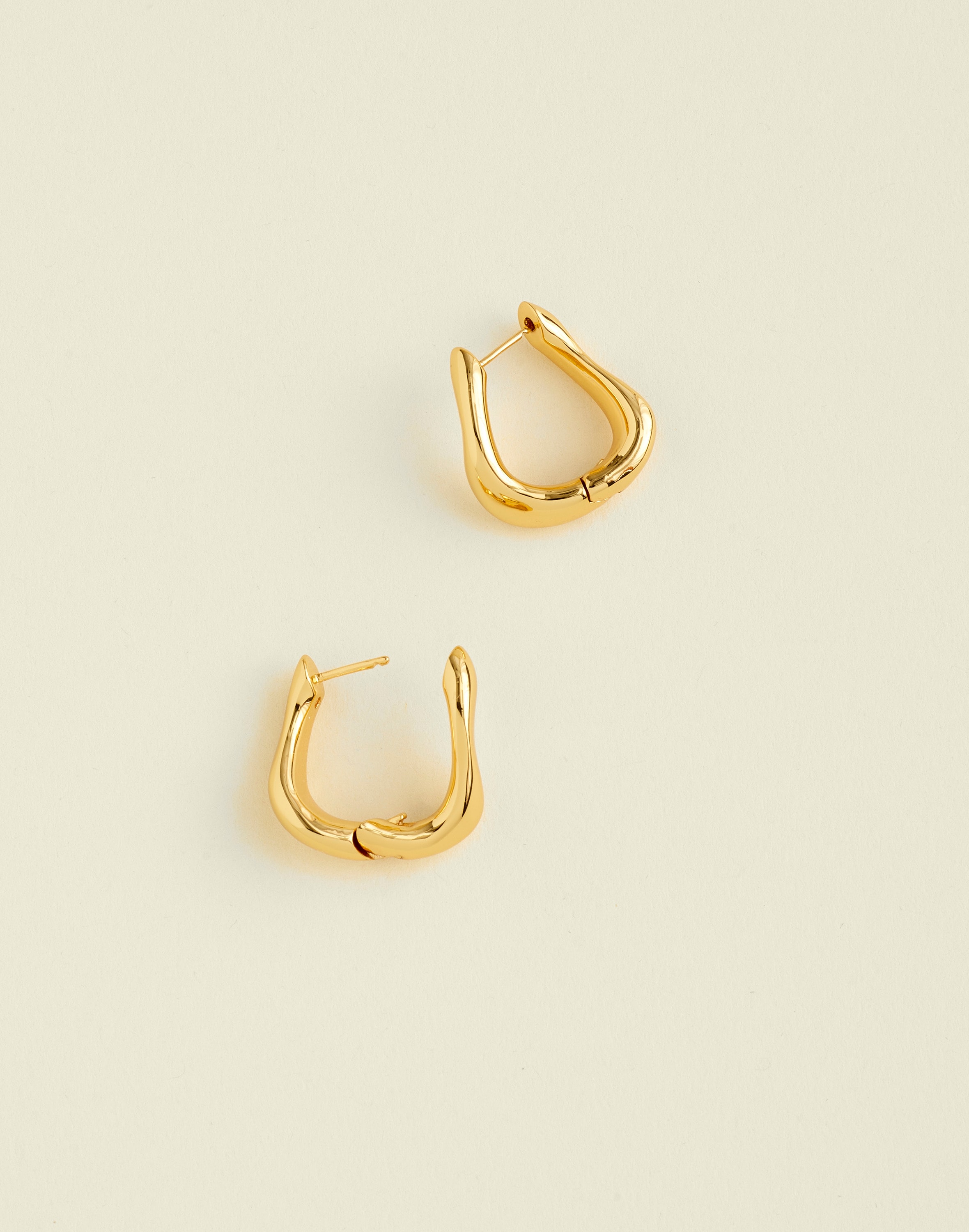 The Elevated Collection Curved Small Hoop Earrings