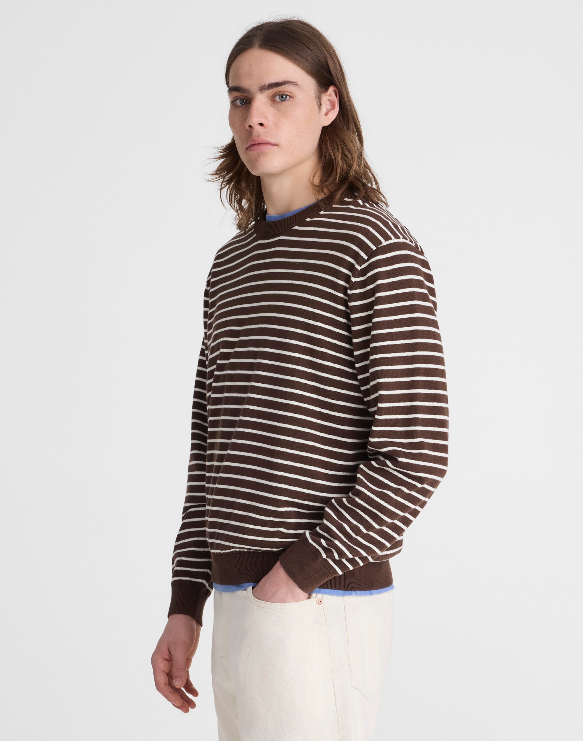 Crewneck Sweater in Everyday Cotton