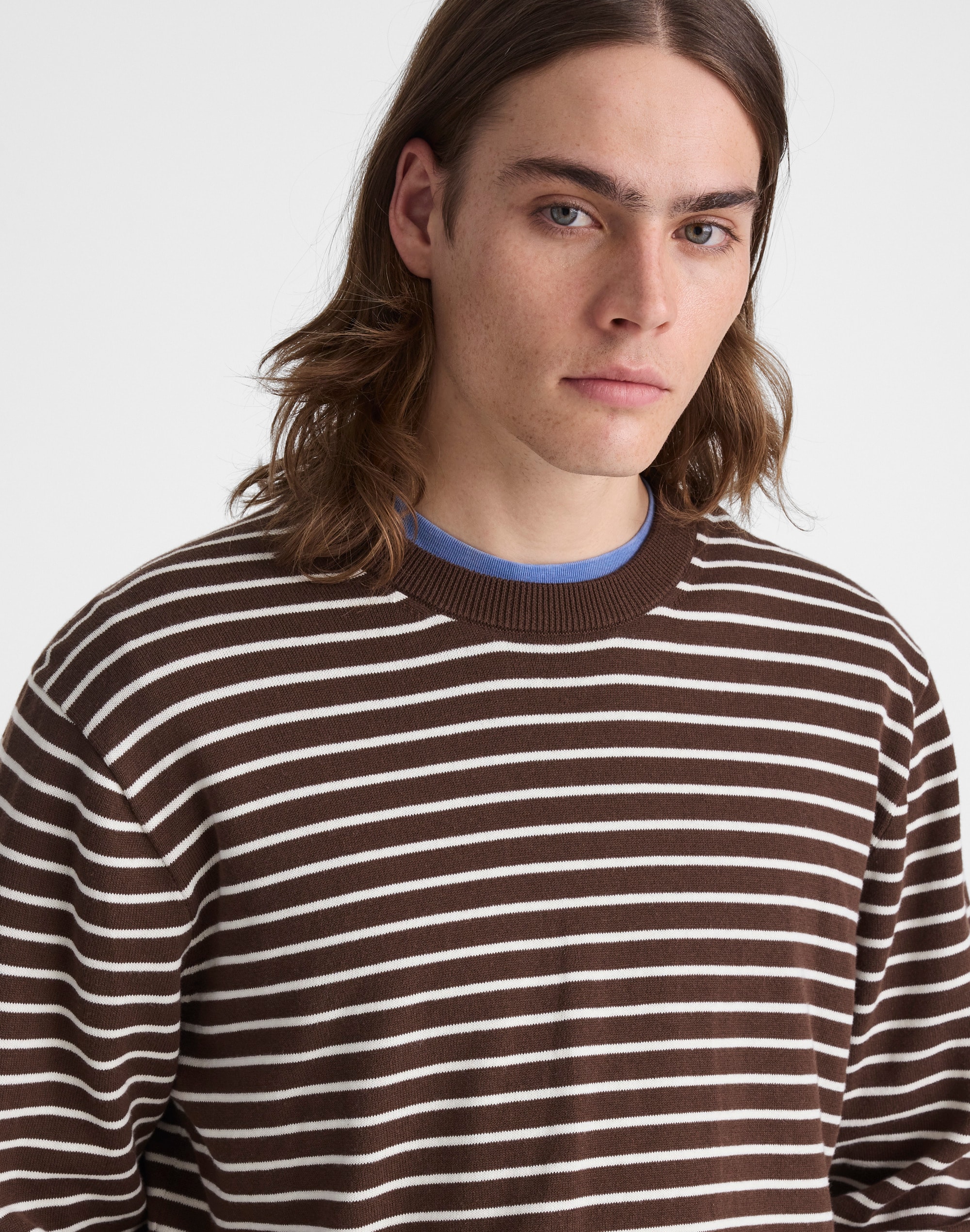 Crewneck Sweater in Everyday Cotton