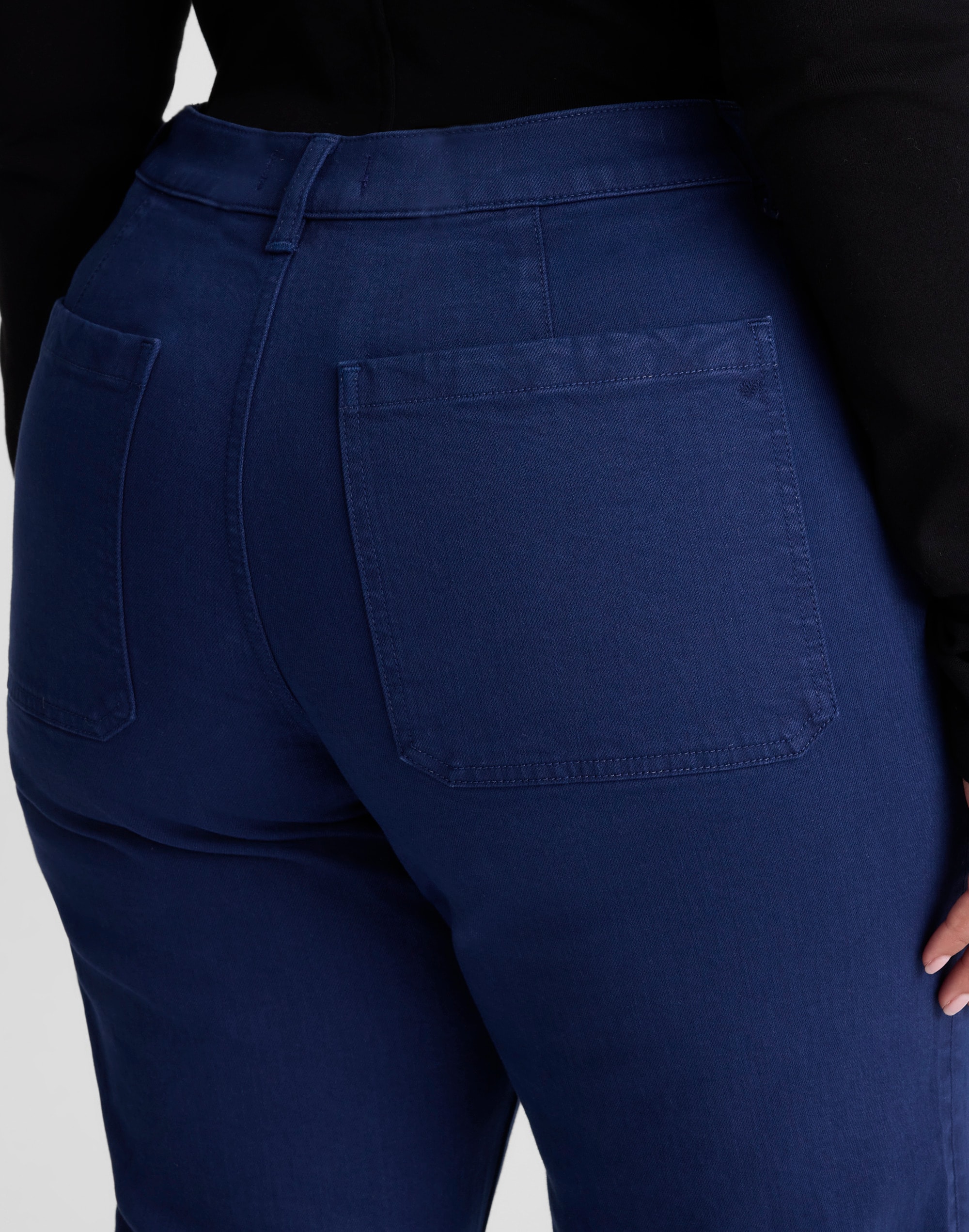 The Plus Emmy Wide-Leg Pant