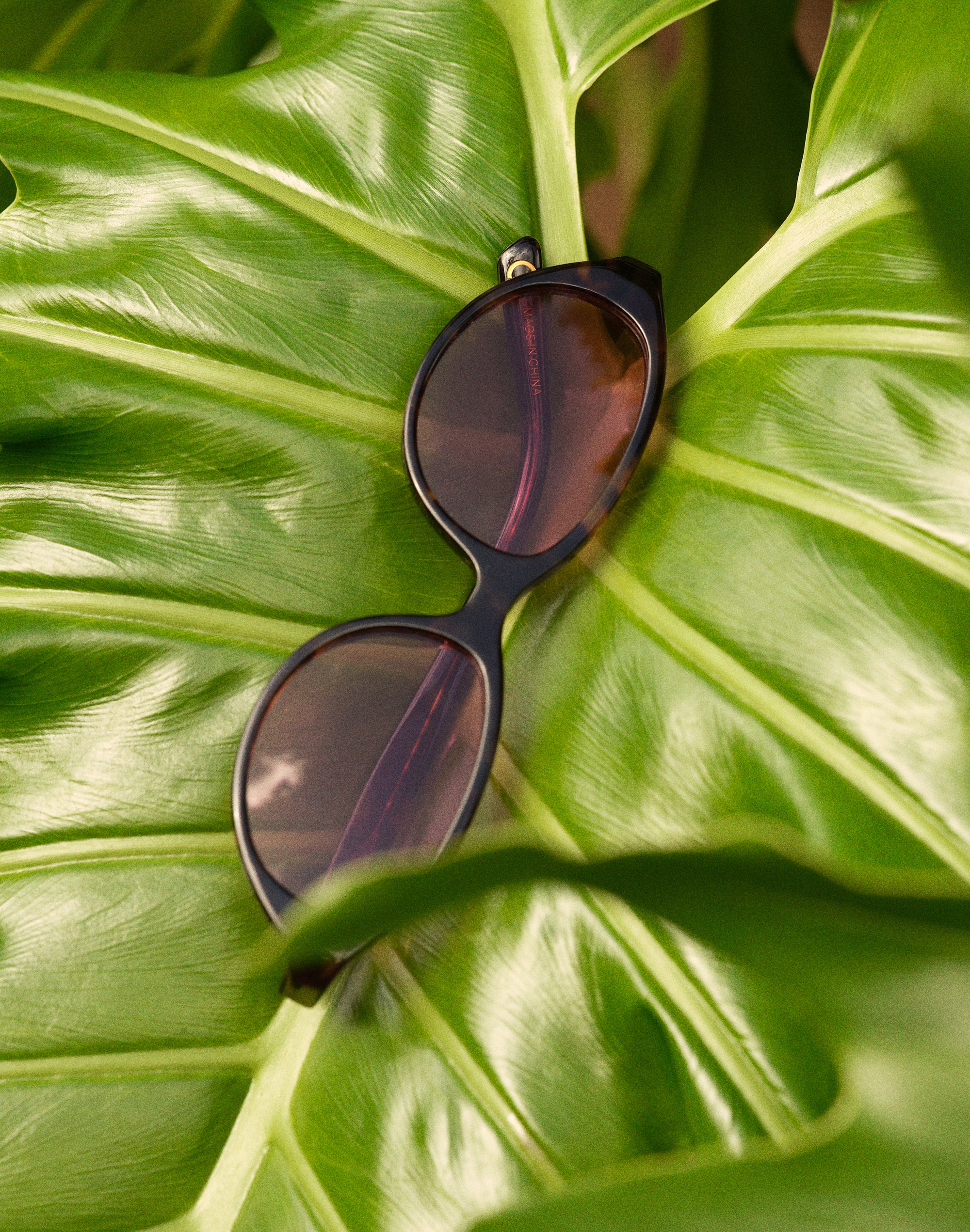 The Solina Oval Sunglasses