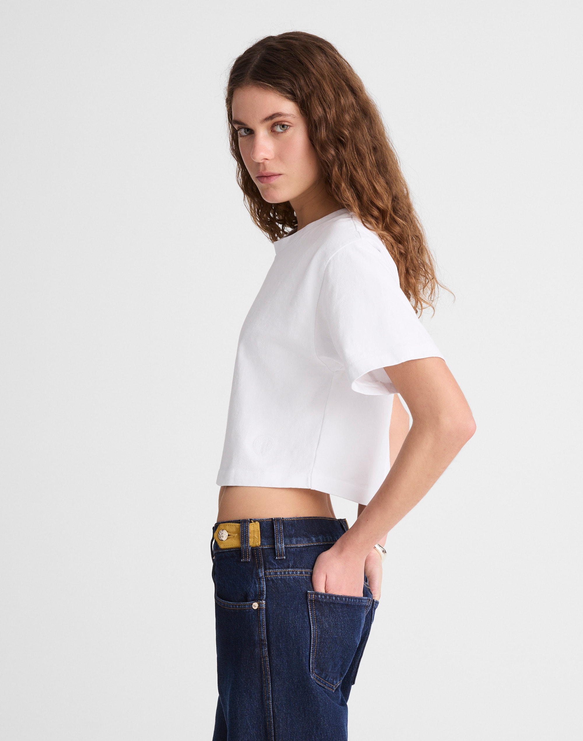 Madewell x Benjamin Talley Smith The Sullivan Boxy Crop Tee