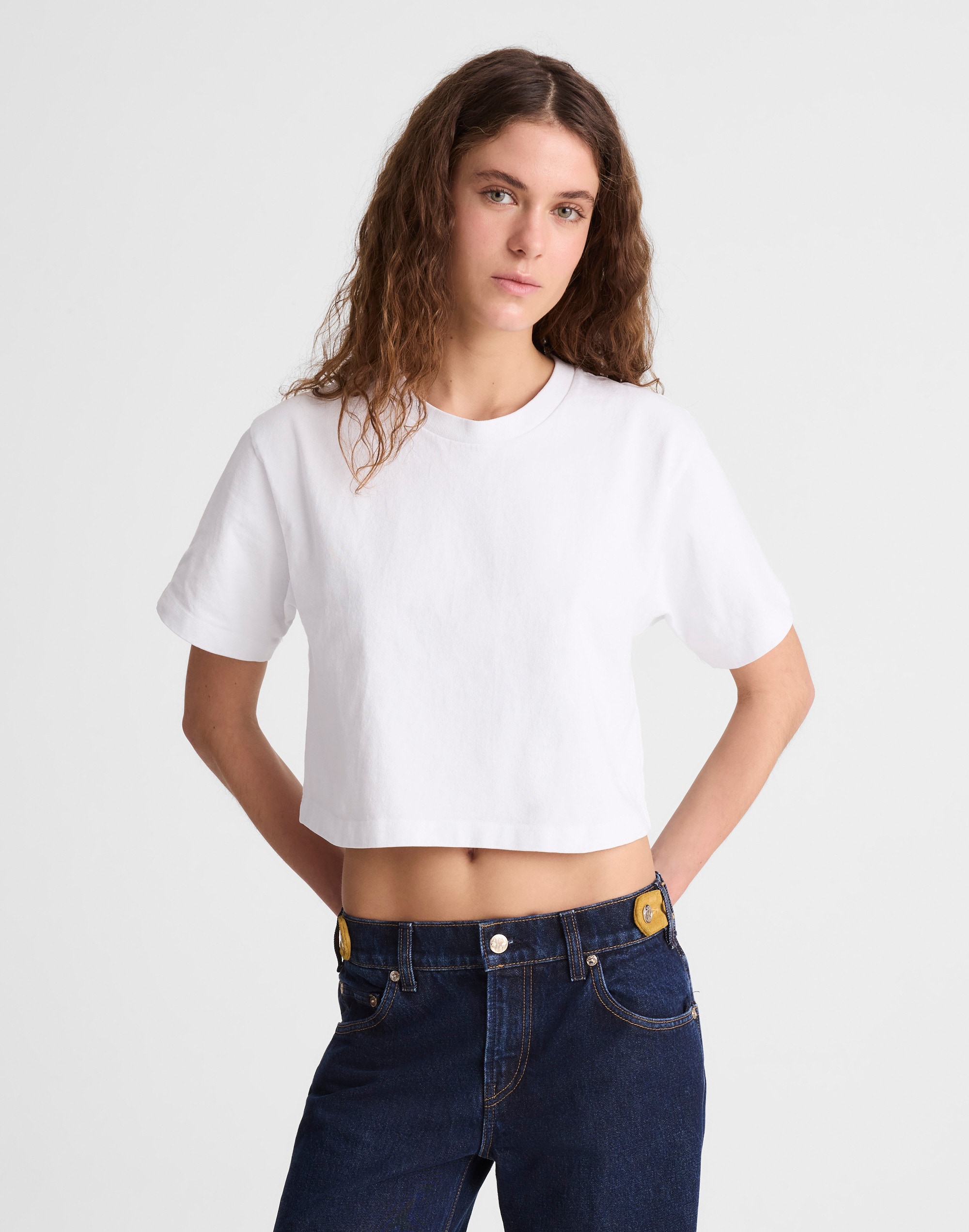 madewell x benjamin talley smith the sullivan boxy crop tee
