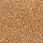 HAZELNUT