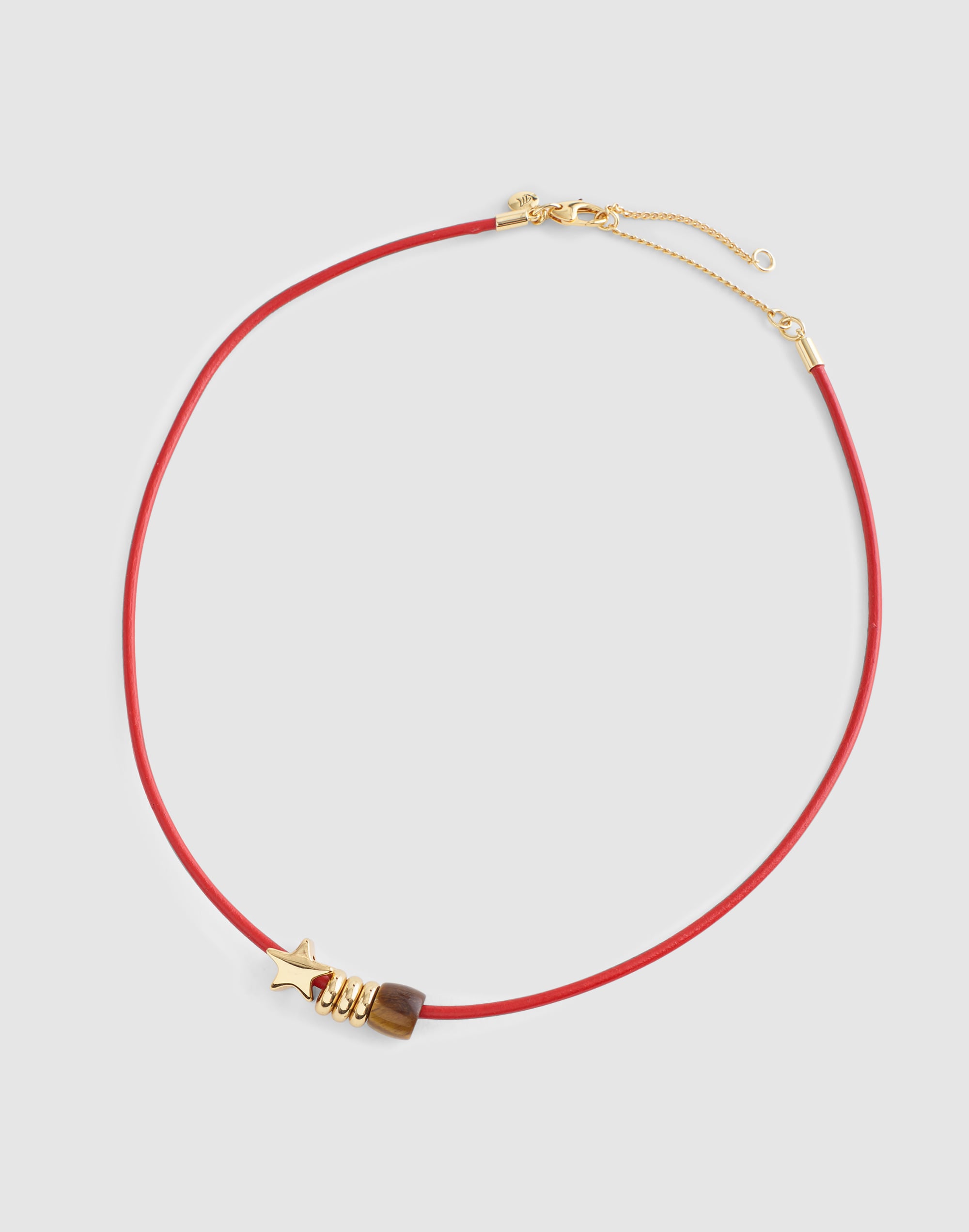 Semiprecious Charm Leather Choker Necklace