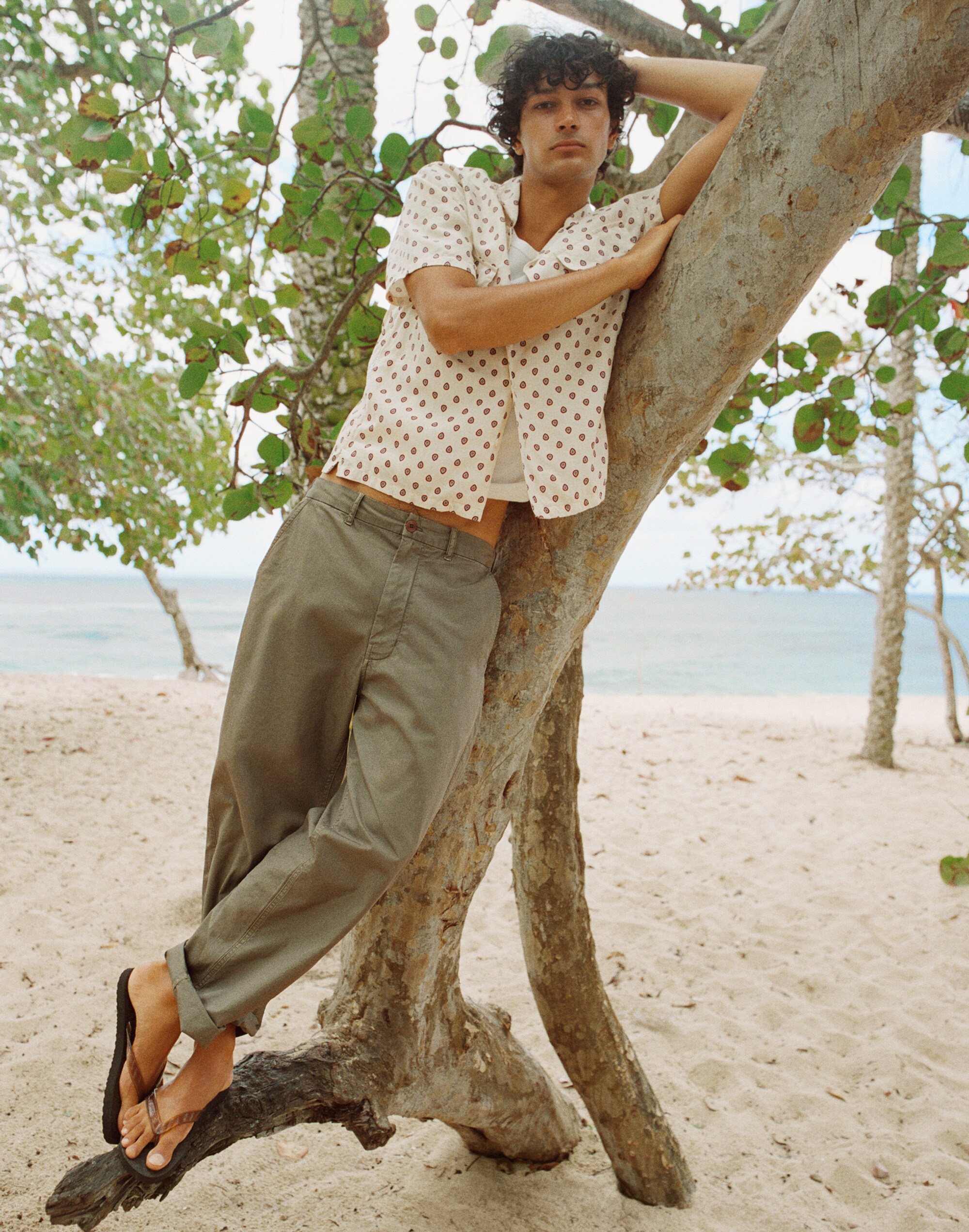 Utility Pant in Poplin