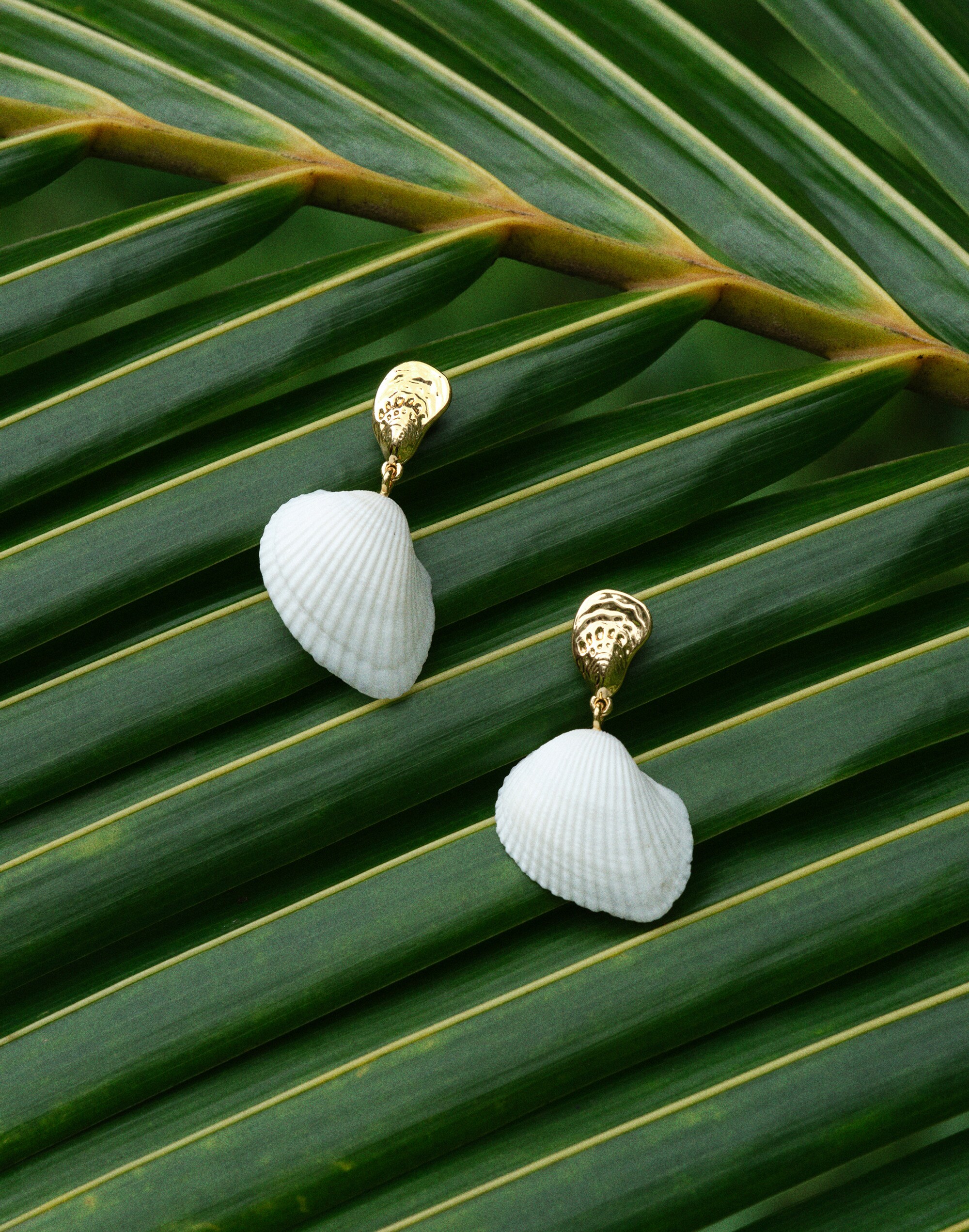 Madewell x Shopbop Mixed Shell Drop Earrings