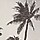 PALM TREE