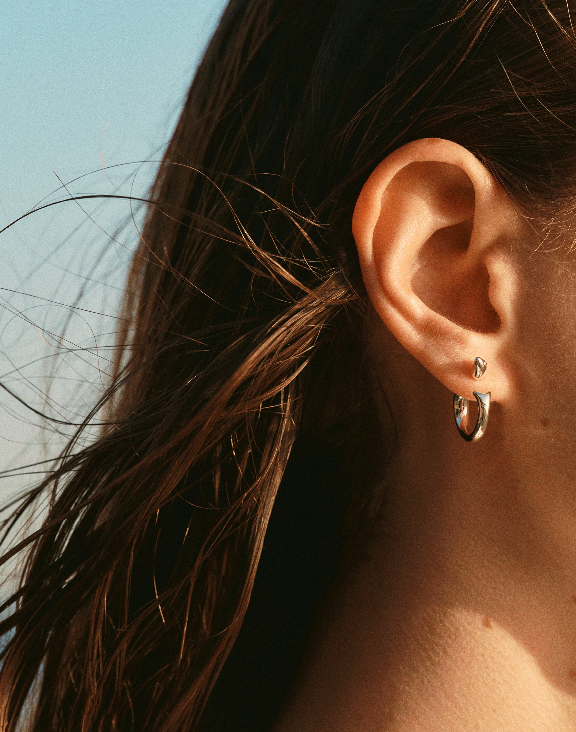 Fish Split Hoop Earrings