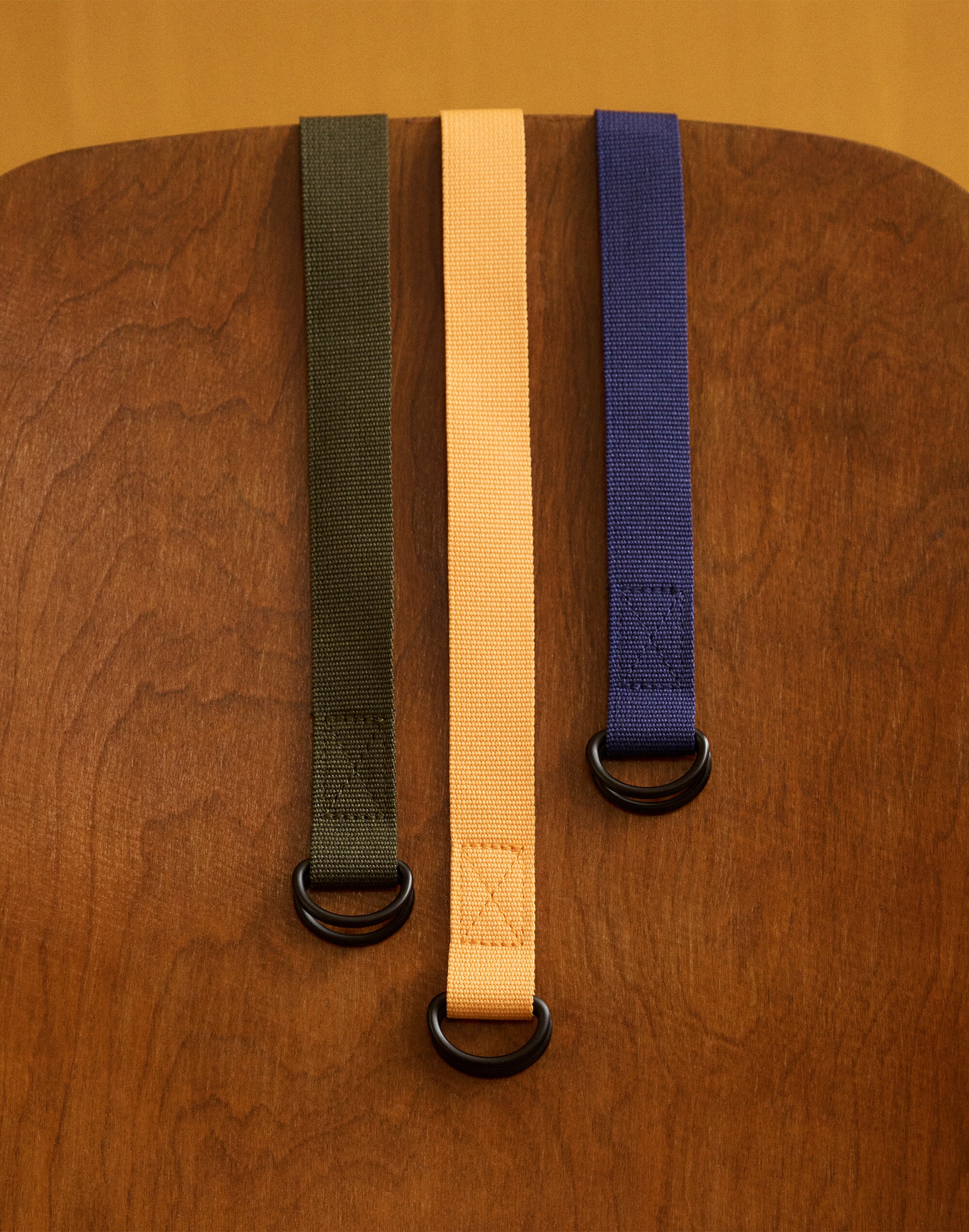 Nylon D-Ring Belt