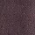IMPERIAL PURPLE