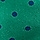 POLKA DOT BEETLE GREEN